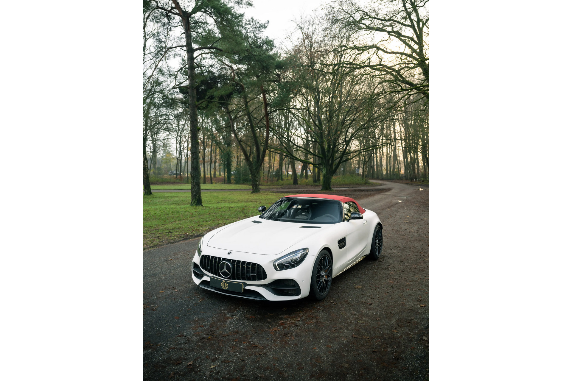 Mercedes-Benz AMG GT Roadster 50 Jahre Edition / 1/250 2017 Designo Kashmir White Magno 7