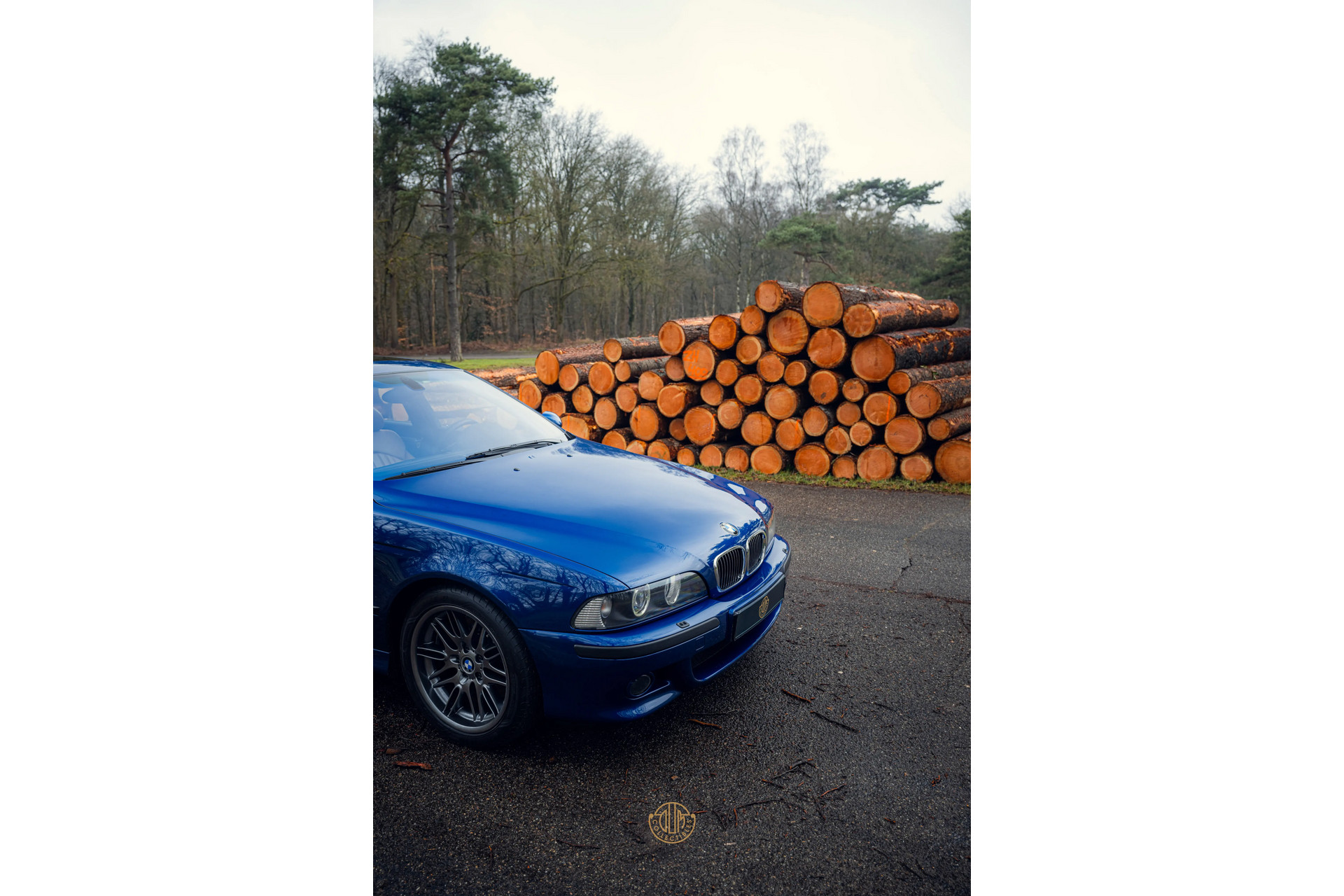 BMW 5 Serie M5 2001  74