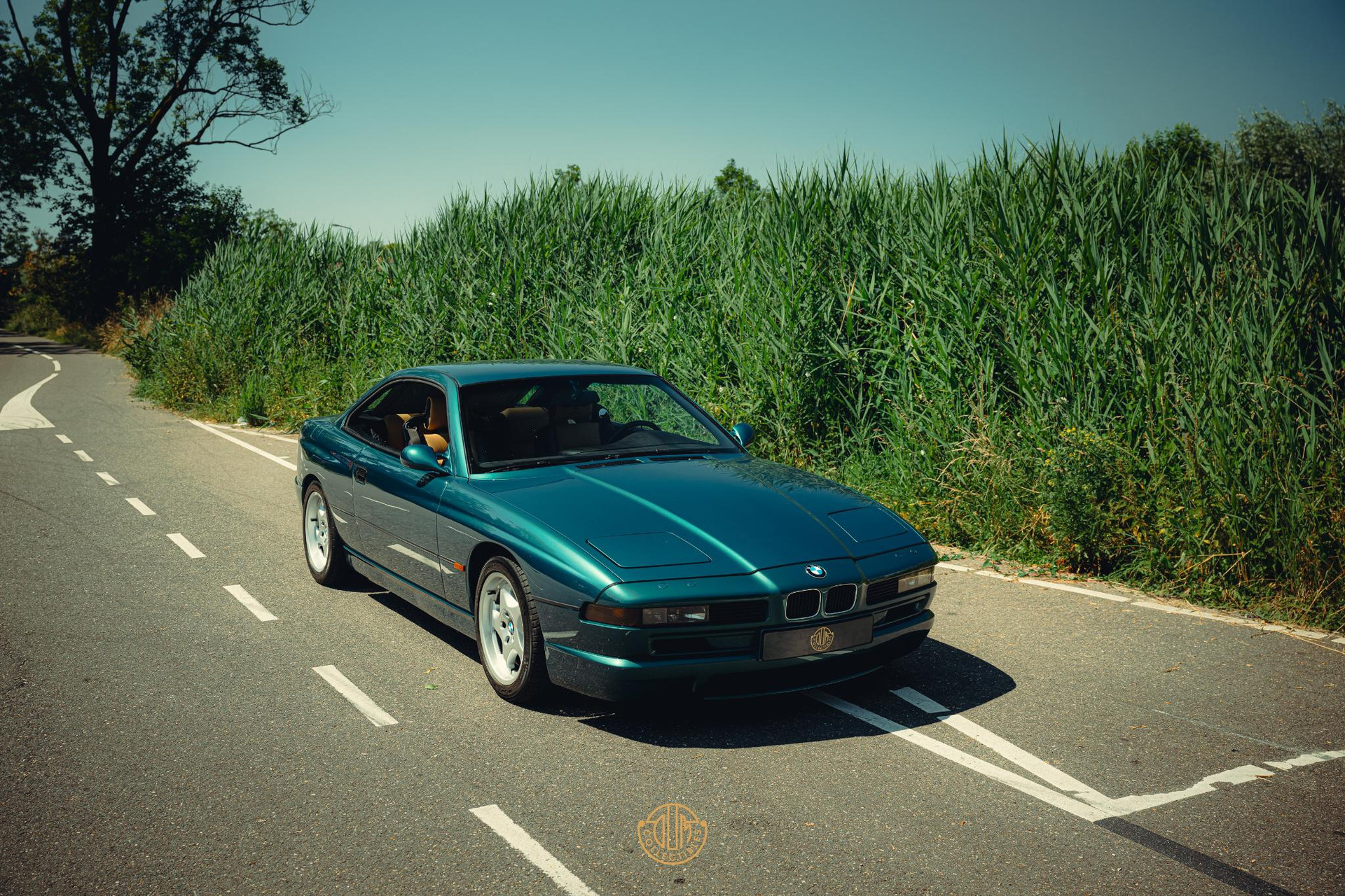 BMW 8 Serie 850 CSi 1994 Lagunengrün metallic 31