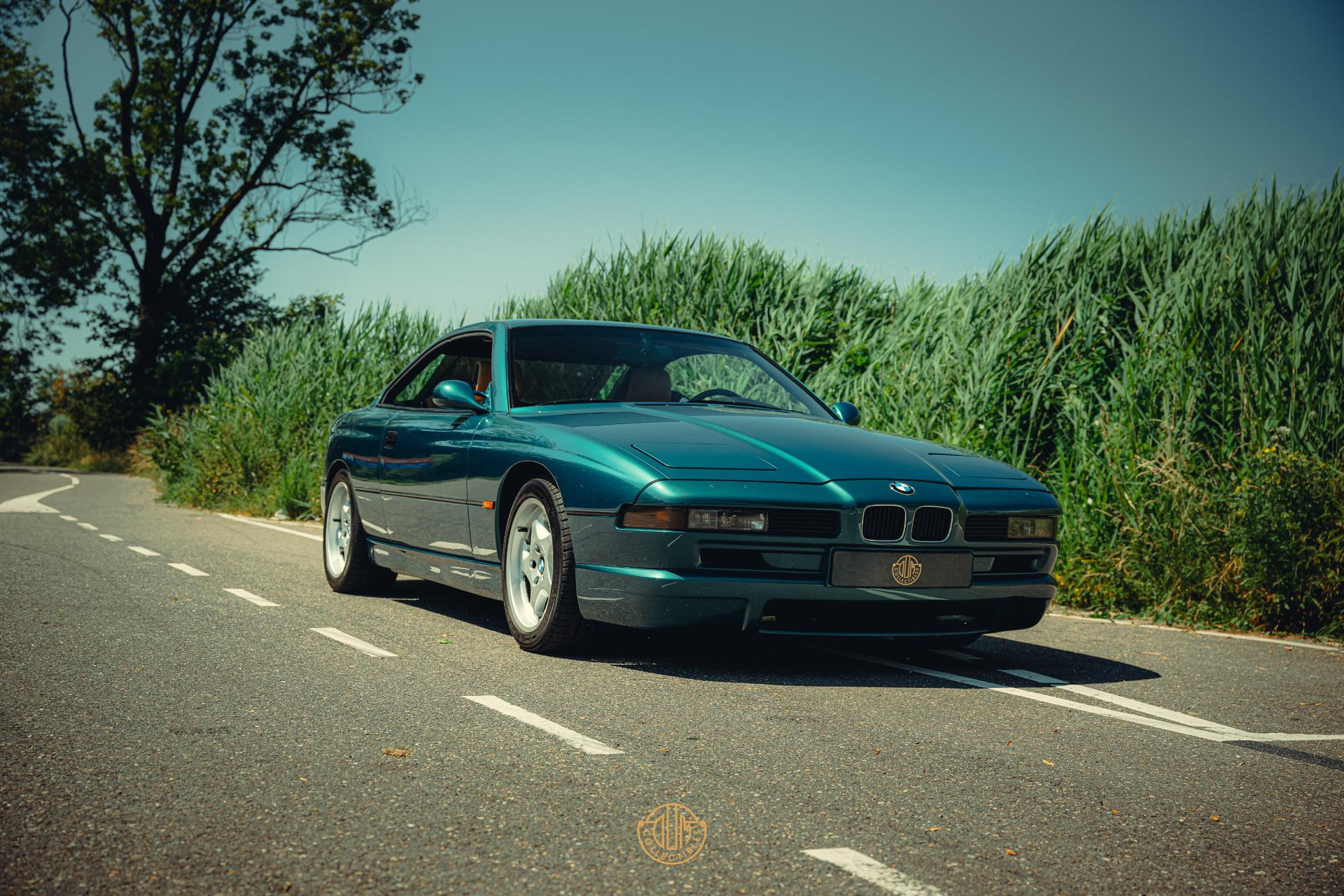 BMW 8 Serie 850 CSi 1994 Lagunengrün metallic 32