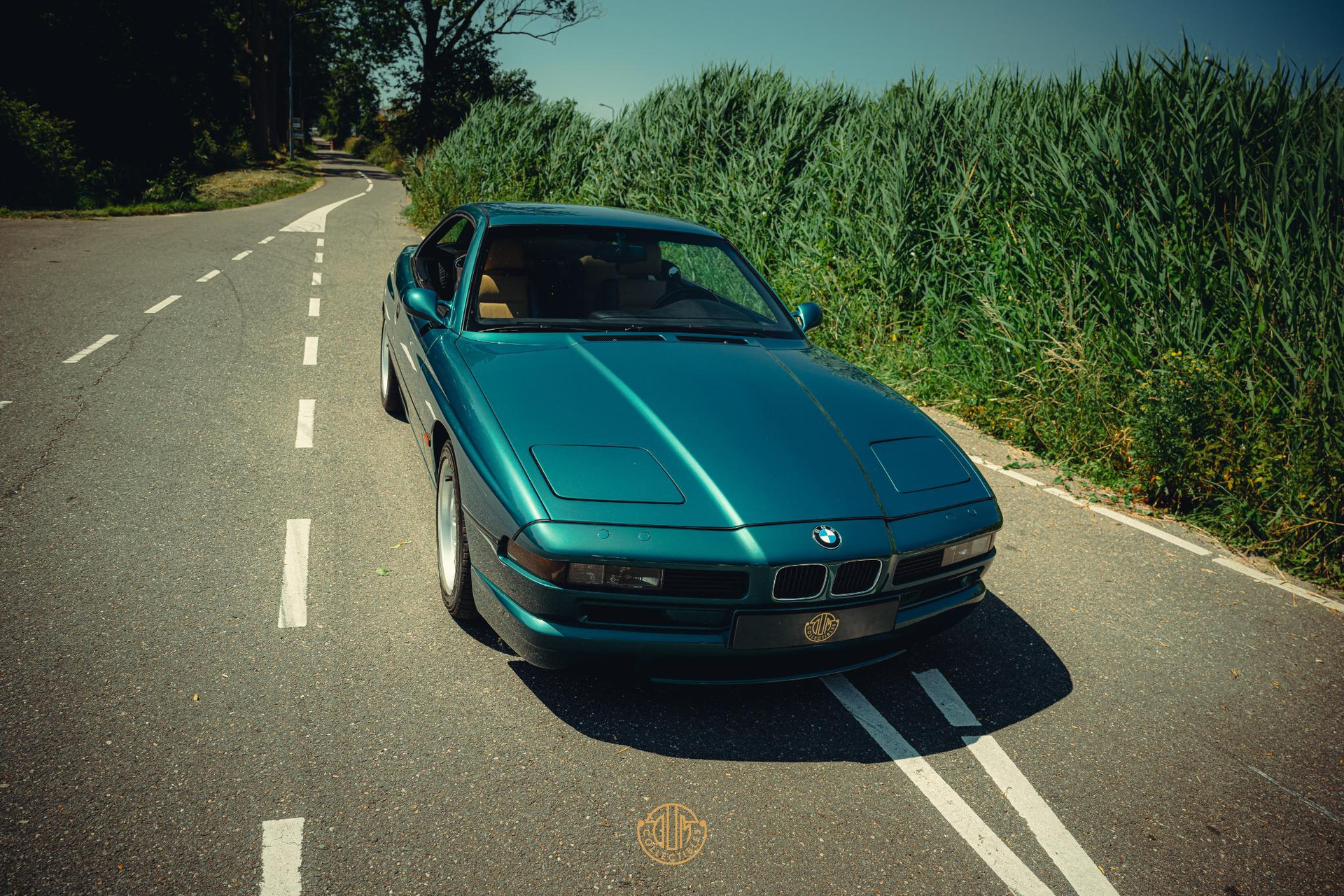 BMW 8 Serie 850 CSi 1994 Lagunengrün metallic 33