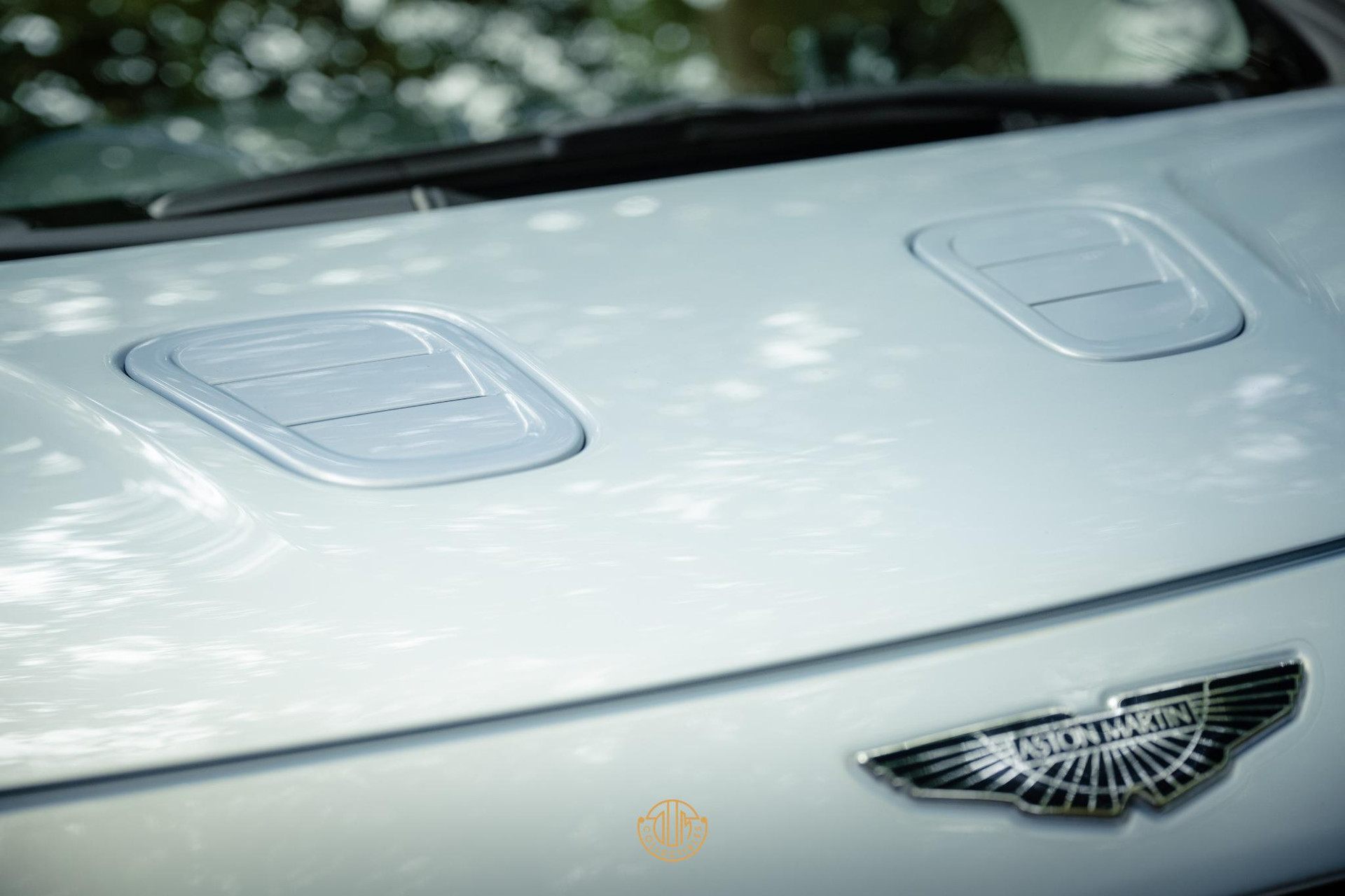 Aston Martin Cygnet Q special - Skyfox Silver 2013  16