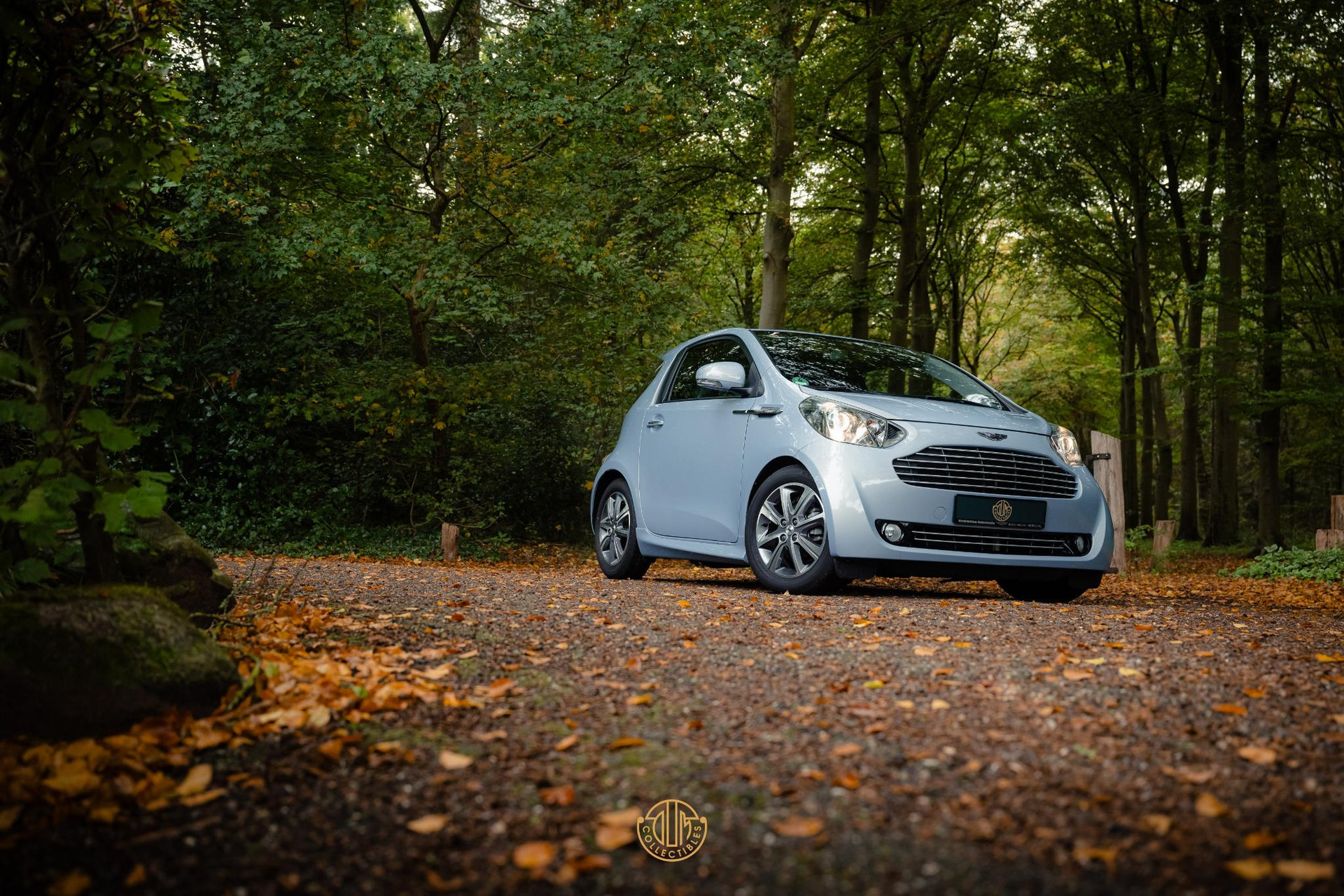 Aston Martin Cygnet Q special - Skyfox Silver 2013  2