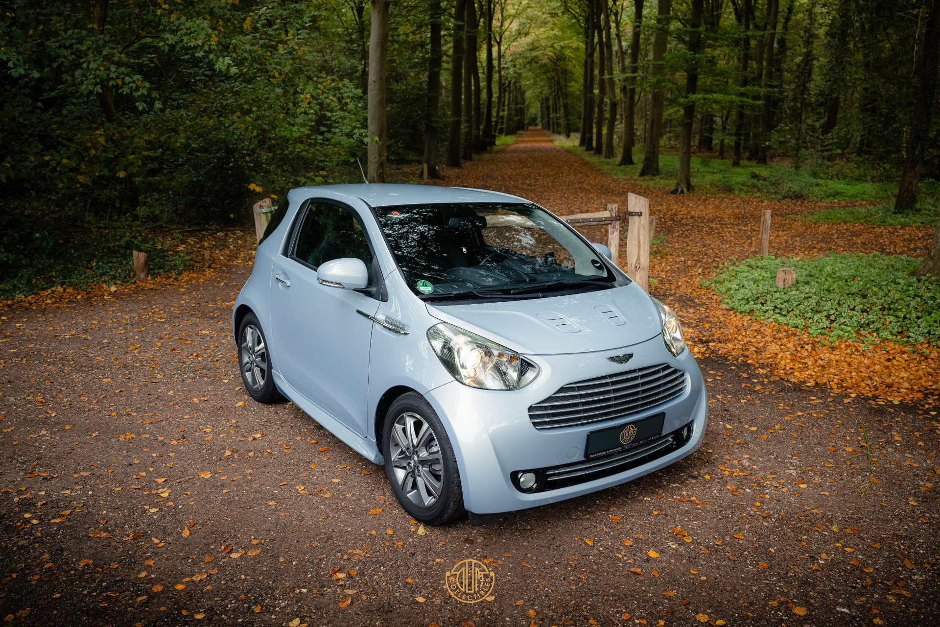 Aston Martin Cygnet Q special - Skyfox Silver 2013  23