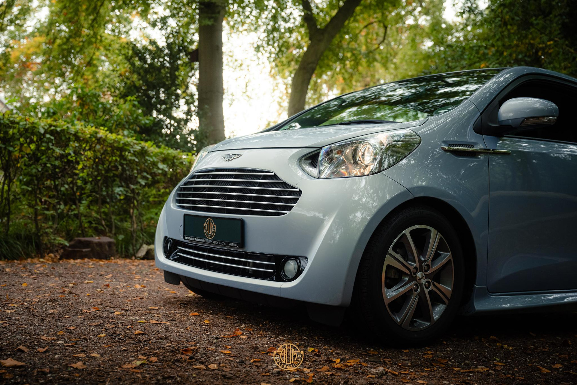 Aston Martin Cygnet Q special - Skyfox Silver 2013  24