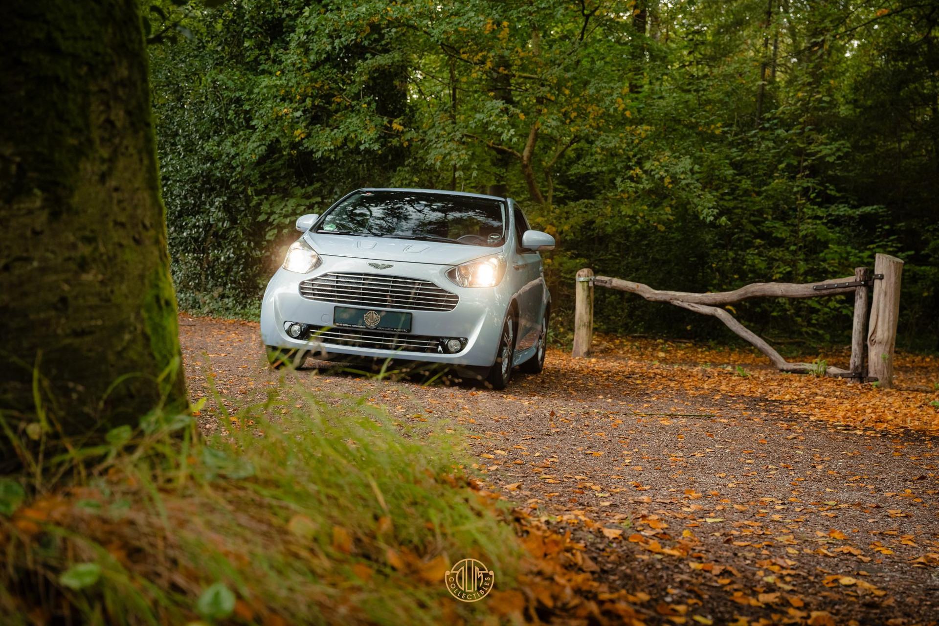Aston Martin Cygnet Q special - Skyfox Silver 2013  25
