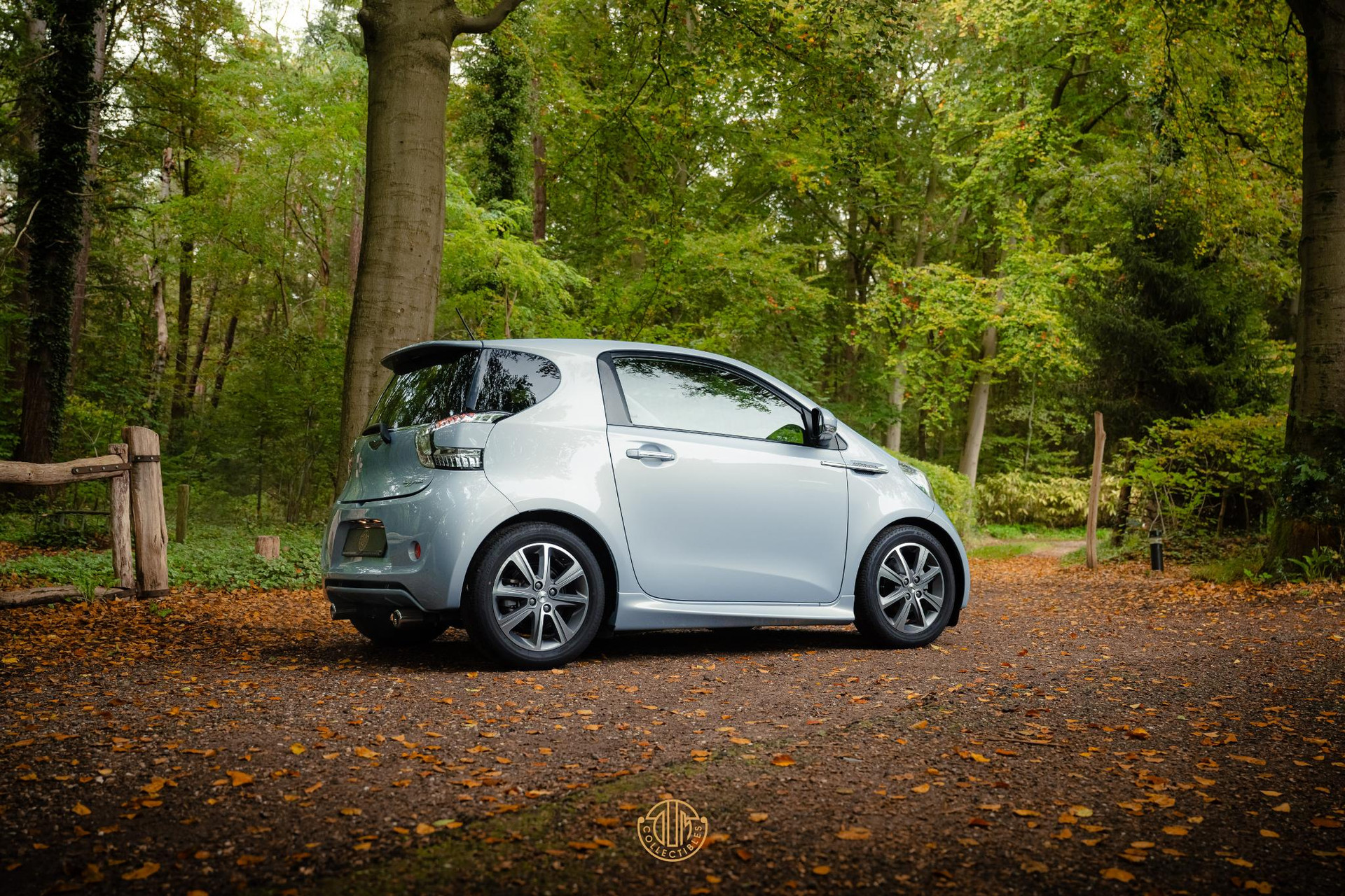 Aston Martin Cygnet Q special - Skyfox Silver 2013  26