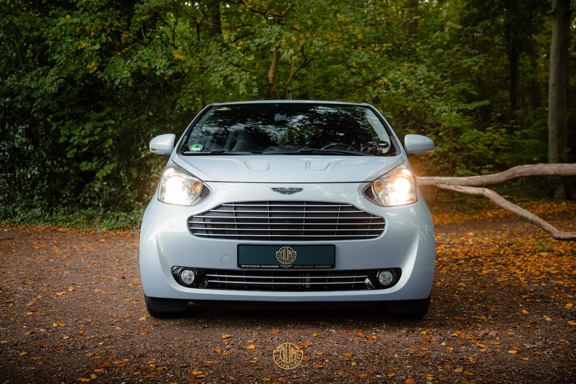 Aston Martin Cygnet Q special - Skyfox Silver 2013  3