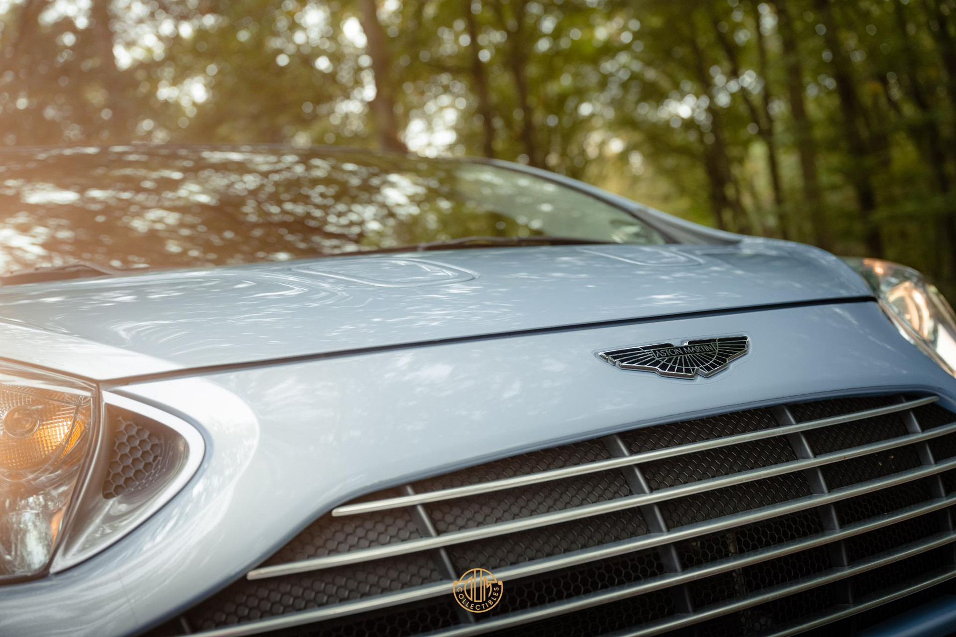 Aston Martin Cygnet Q special - Skyfox Silver 2013  35