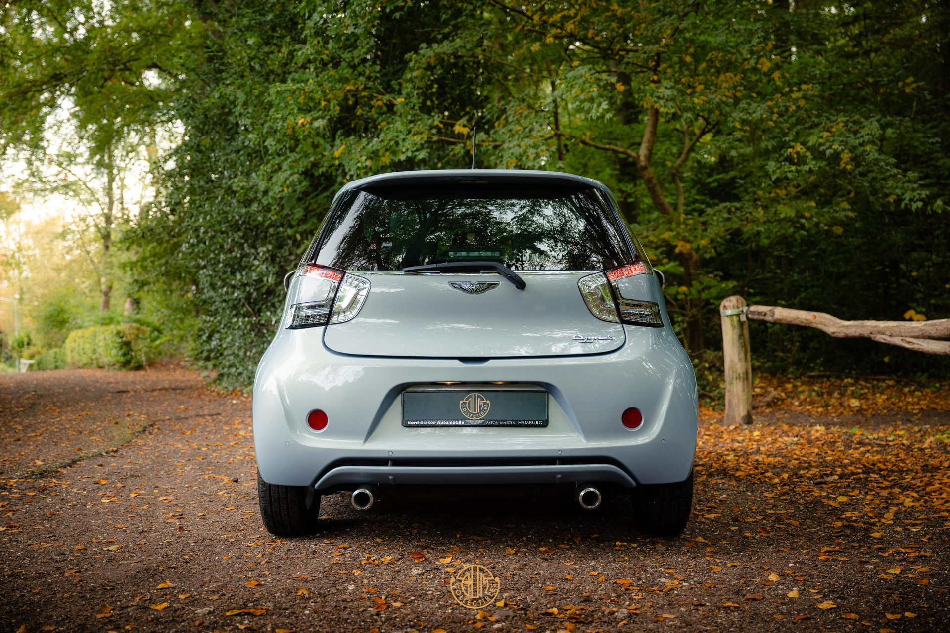 Aston Martin Cygnet Q special - Skyfox Silver 2013  38