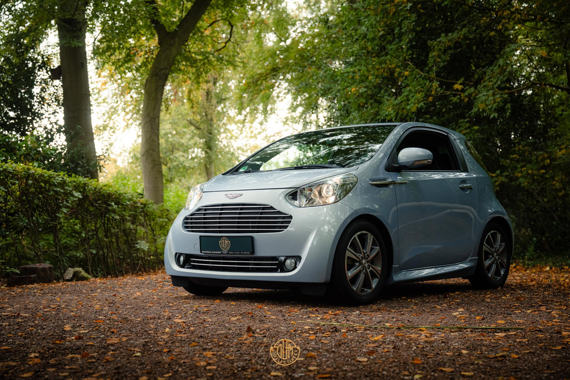 Aston Martin Cygnet Q special - Skyfox Silver 2013  4