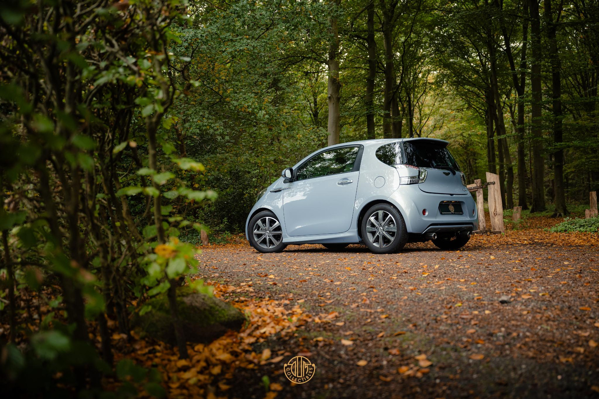 Aston Martin Cygnet Q special - Skyfox Silver 2013  42