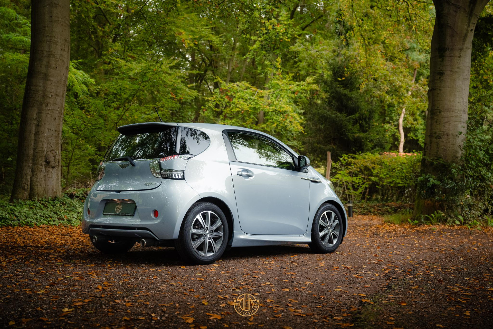Aston Martin Cygnet Q special - Skyfox Silver 2013  5