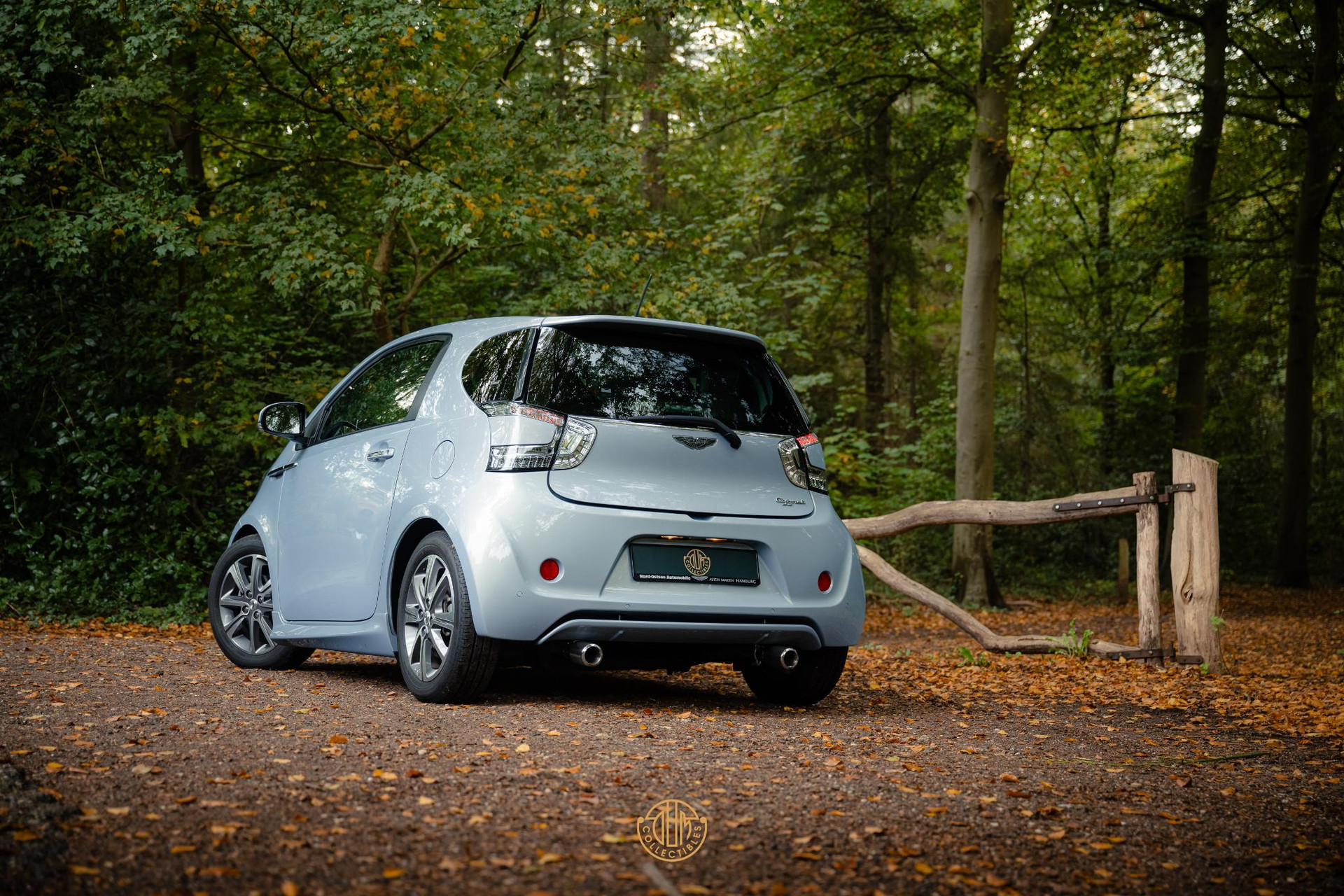Aston Martin Cygnet Q special - Skyfox Silver 2013  6
