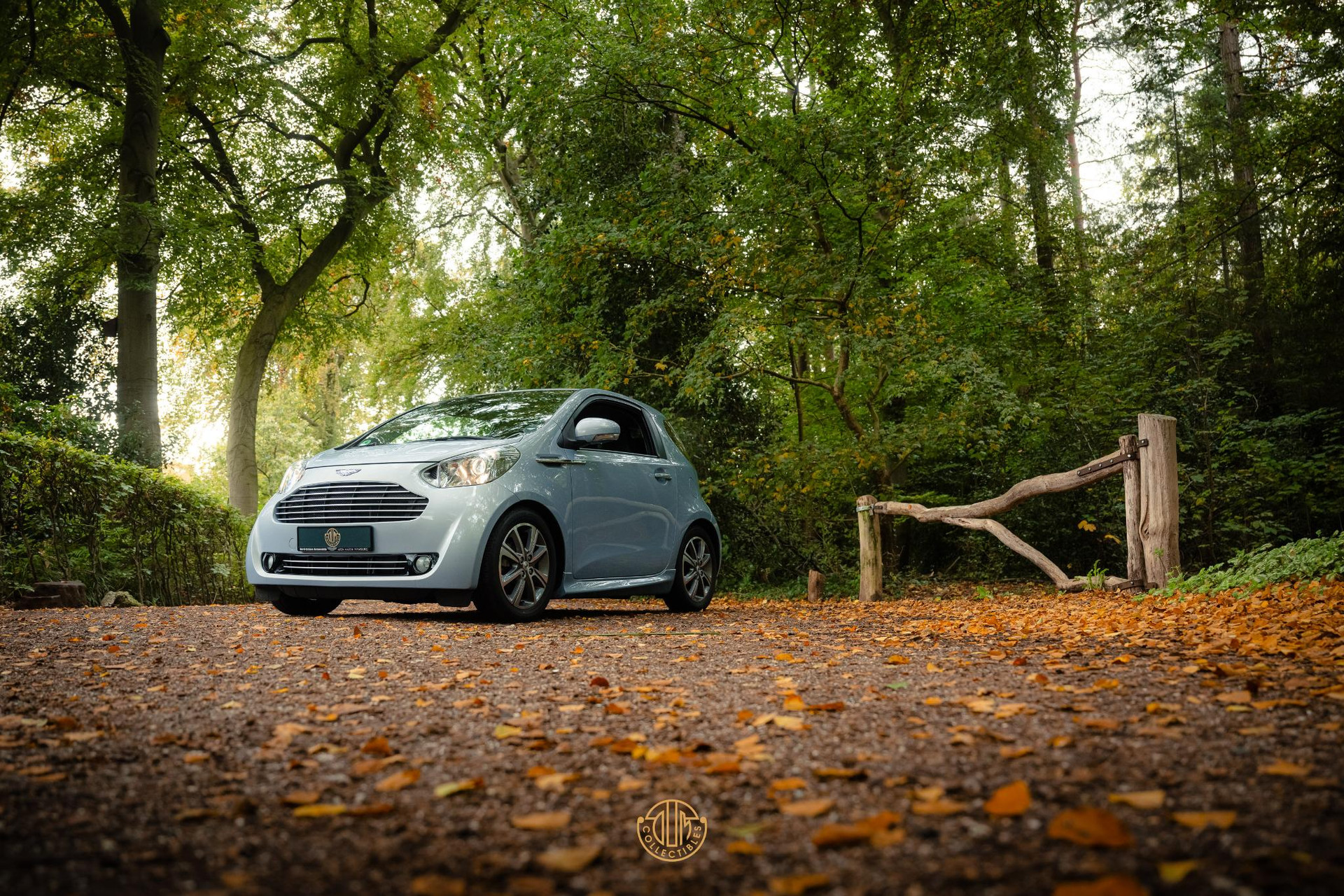 Aston Martin Cygnet Q special - Skyfox Silver 2013  7