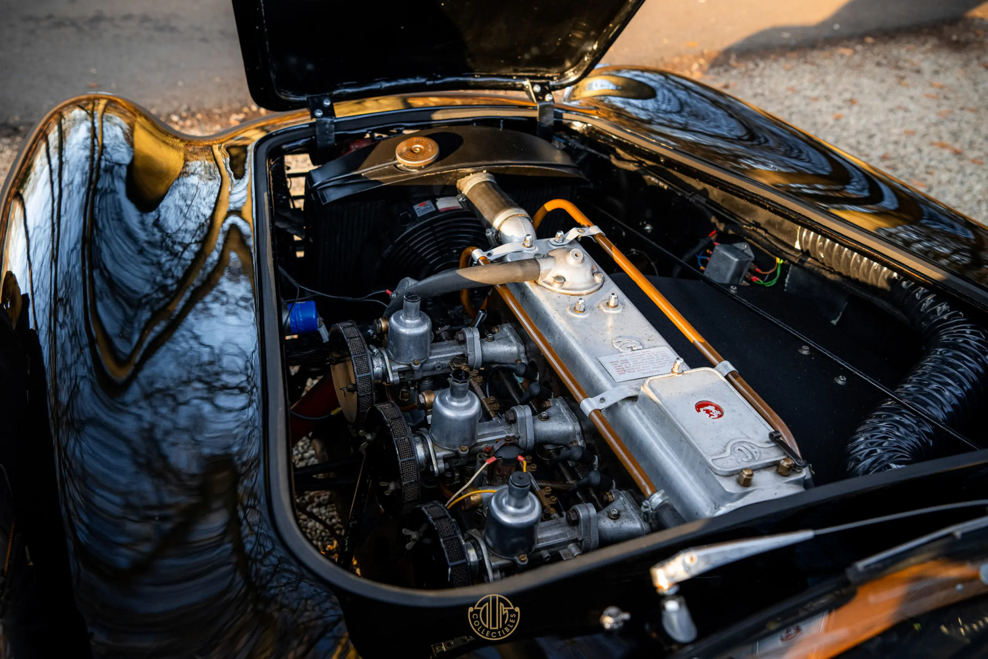 AC ACECA  1955 Black 11