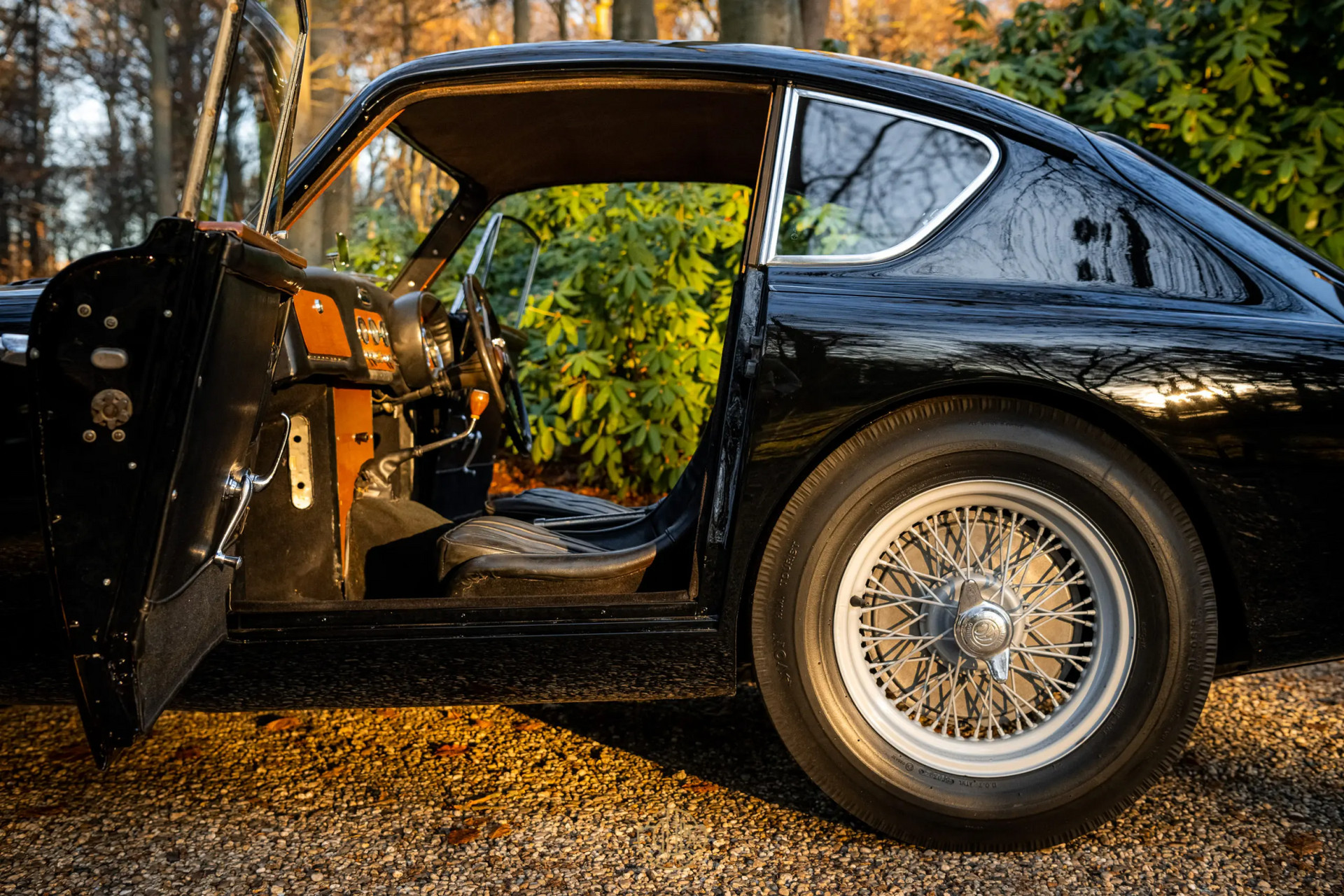 AC ACECA  1955 Black 14