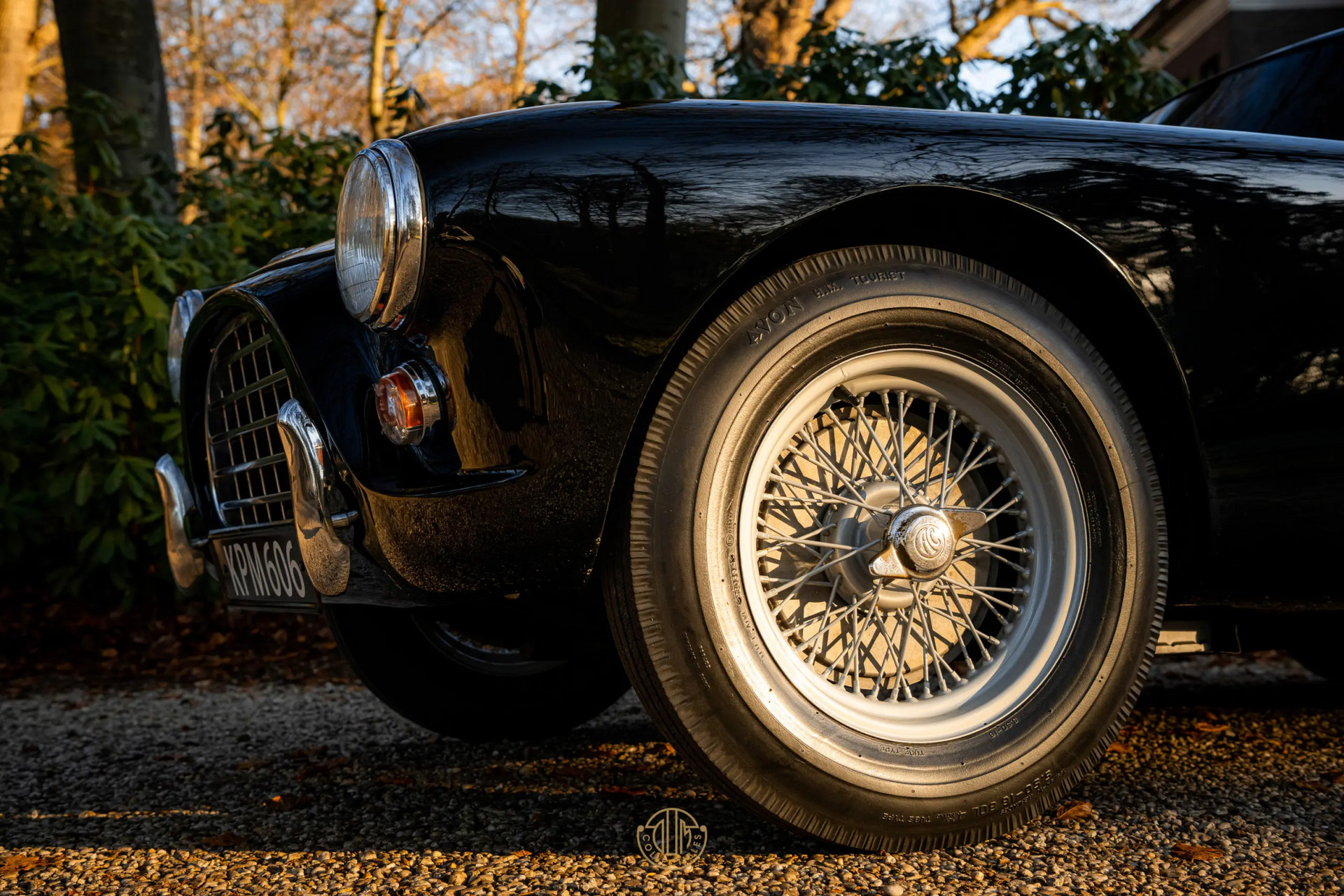 AC ACECA  1955 Black 24