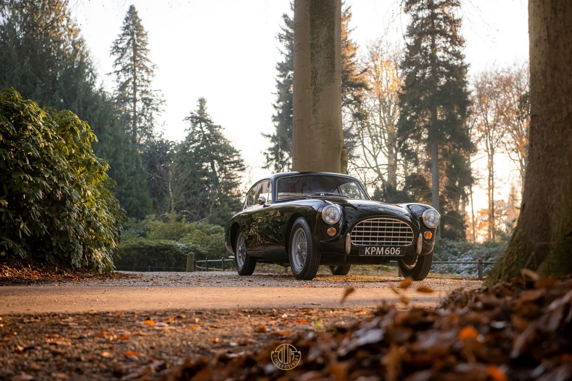 AC ACECA  1955 Black 29