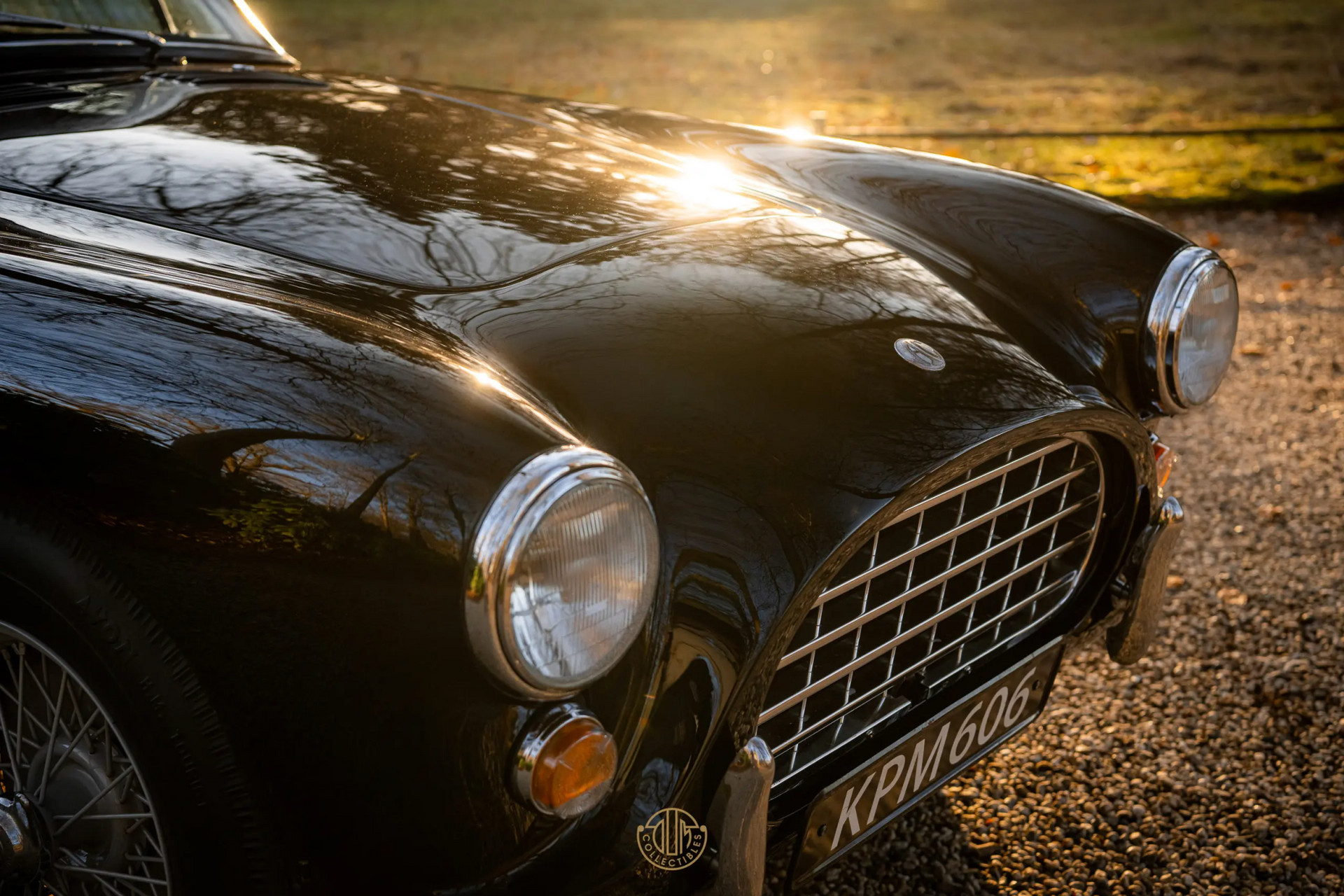 AC ACECA  1955 Black 30