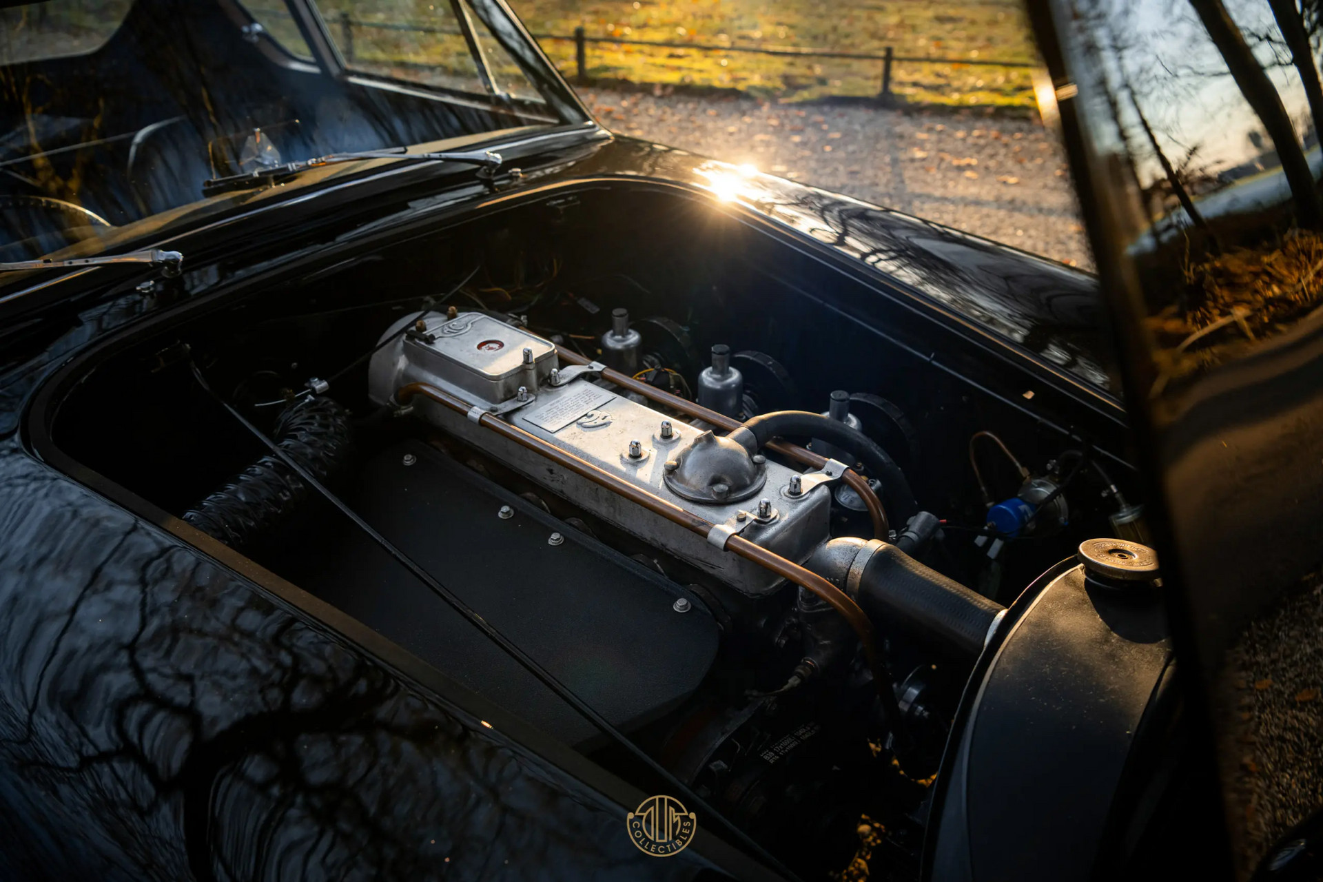 AC ACECA  1955 Black 33