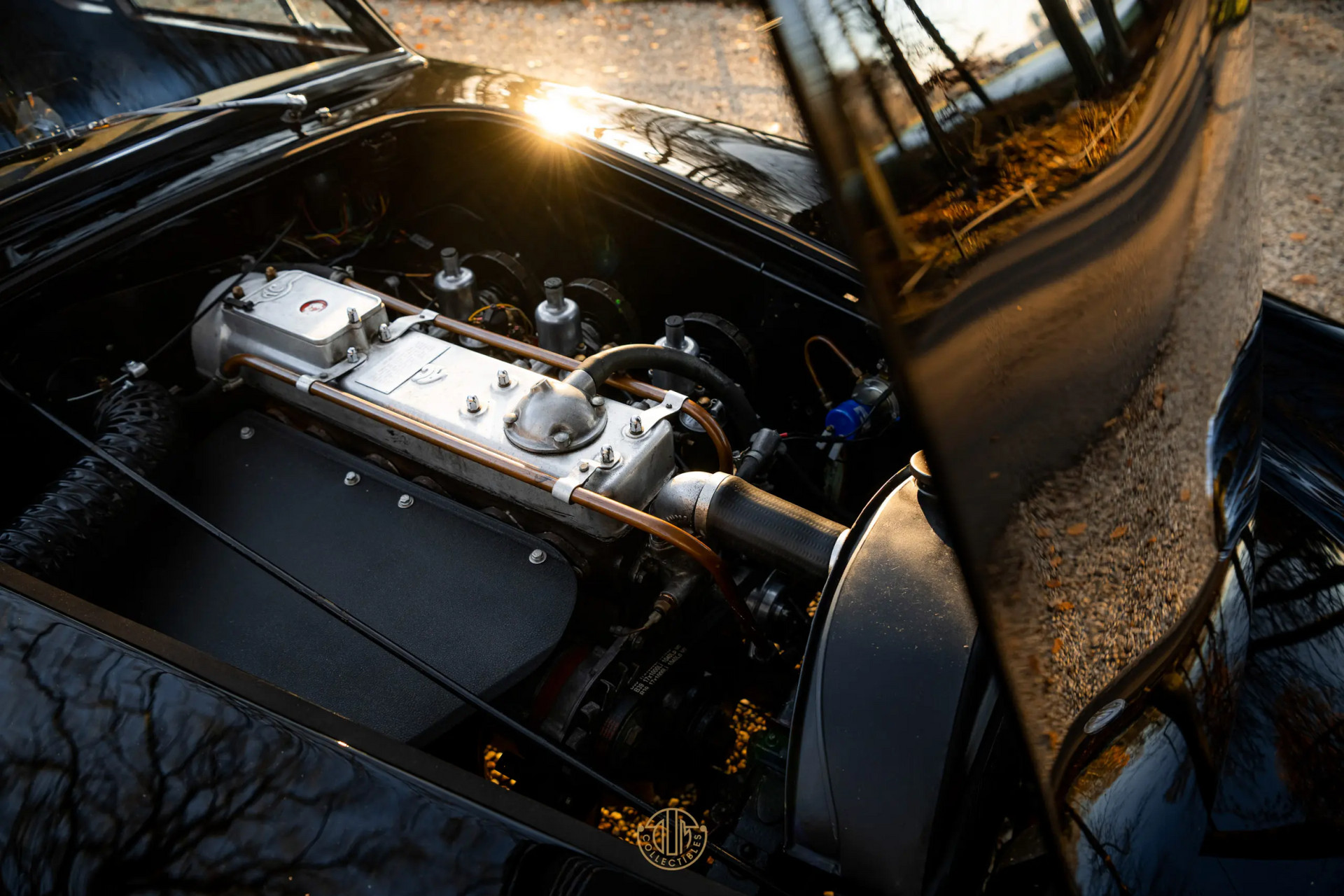 AC ACECA  1955 Black 35
