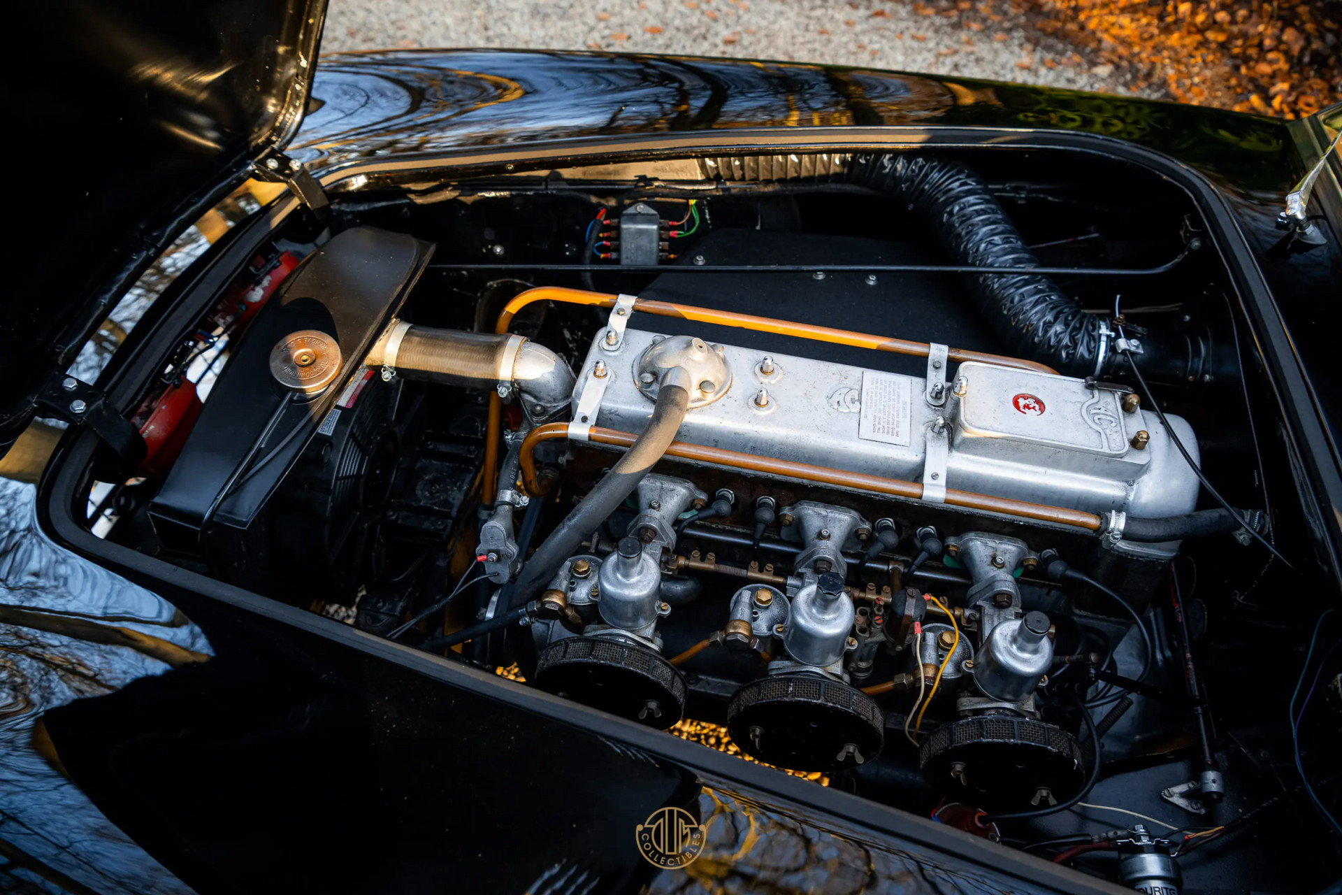 AC ACECA  1955 Black 36