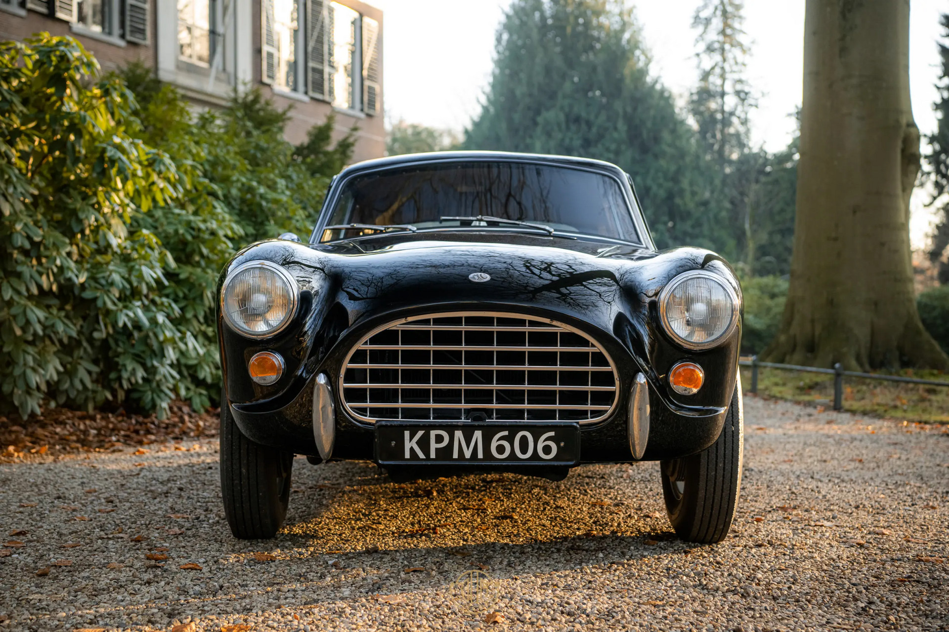AC ACECA  1955 Black 4