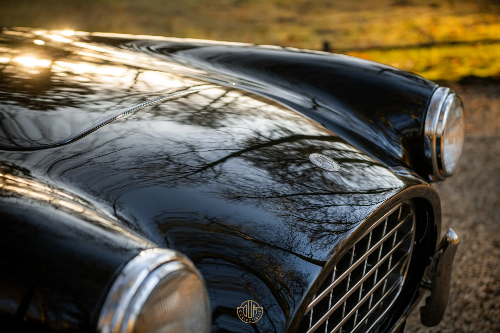 AC ACECA  1955 Black 53