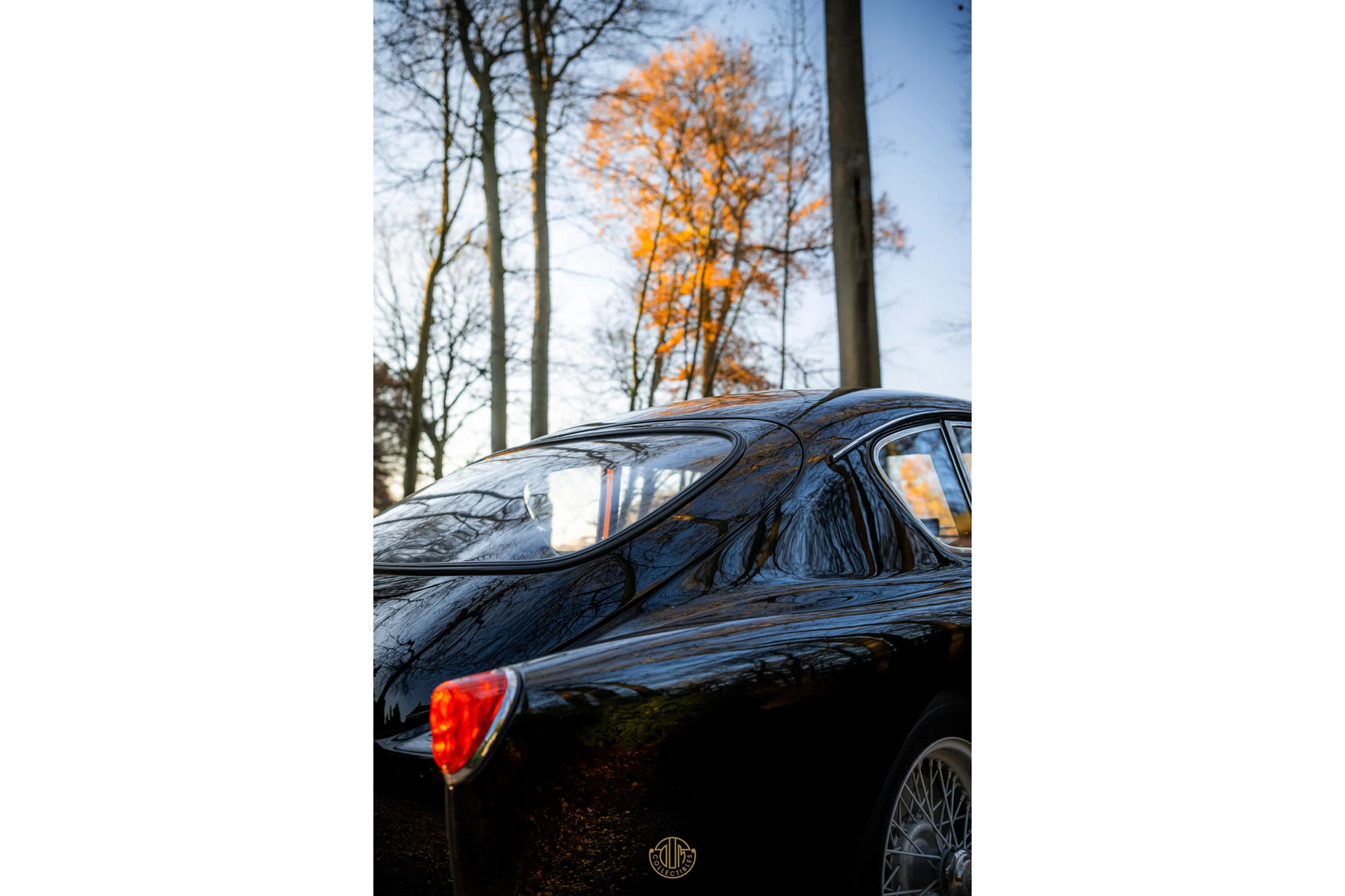 AC ACECA  1955 Black 72