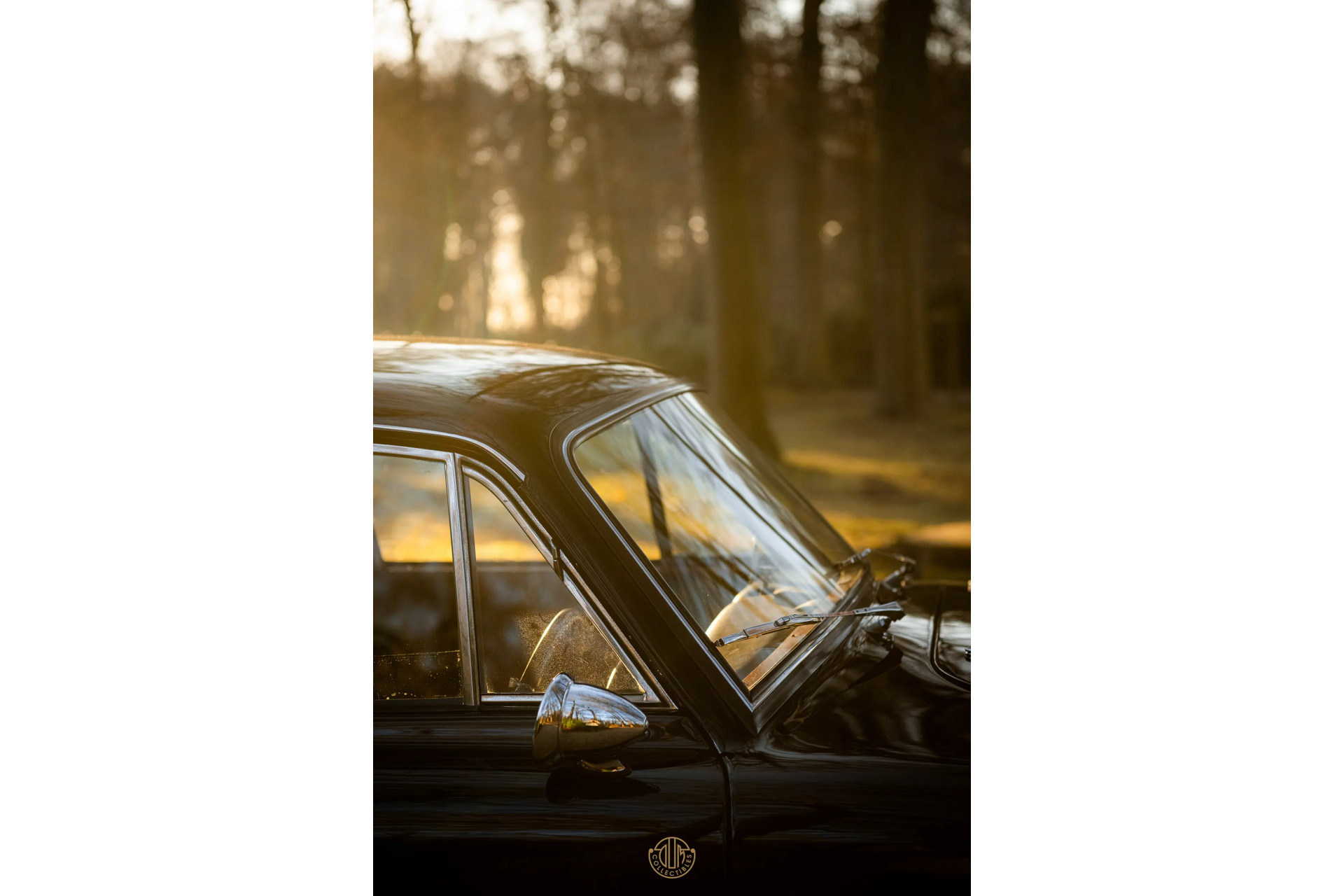 AC ACECA  1955 Black 74