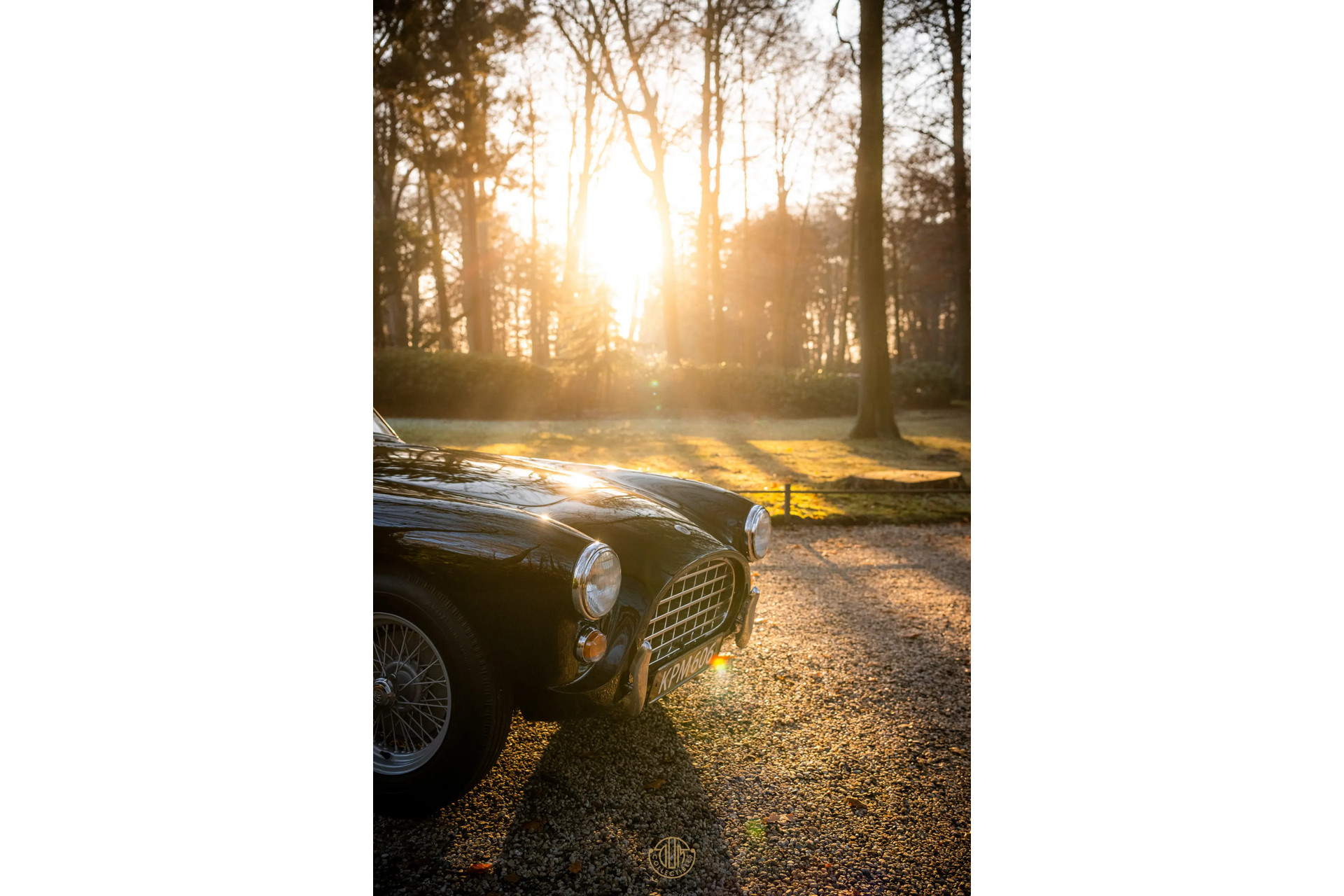 AC ACECA  1955 Black 75
