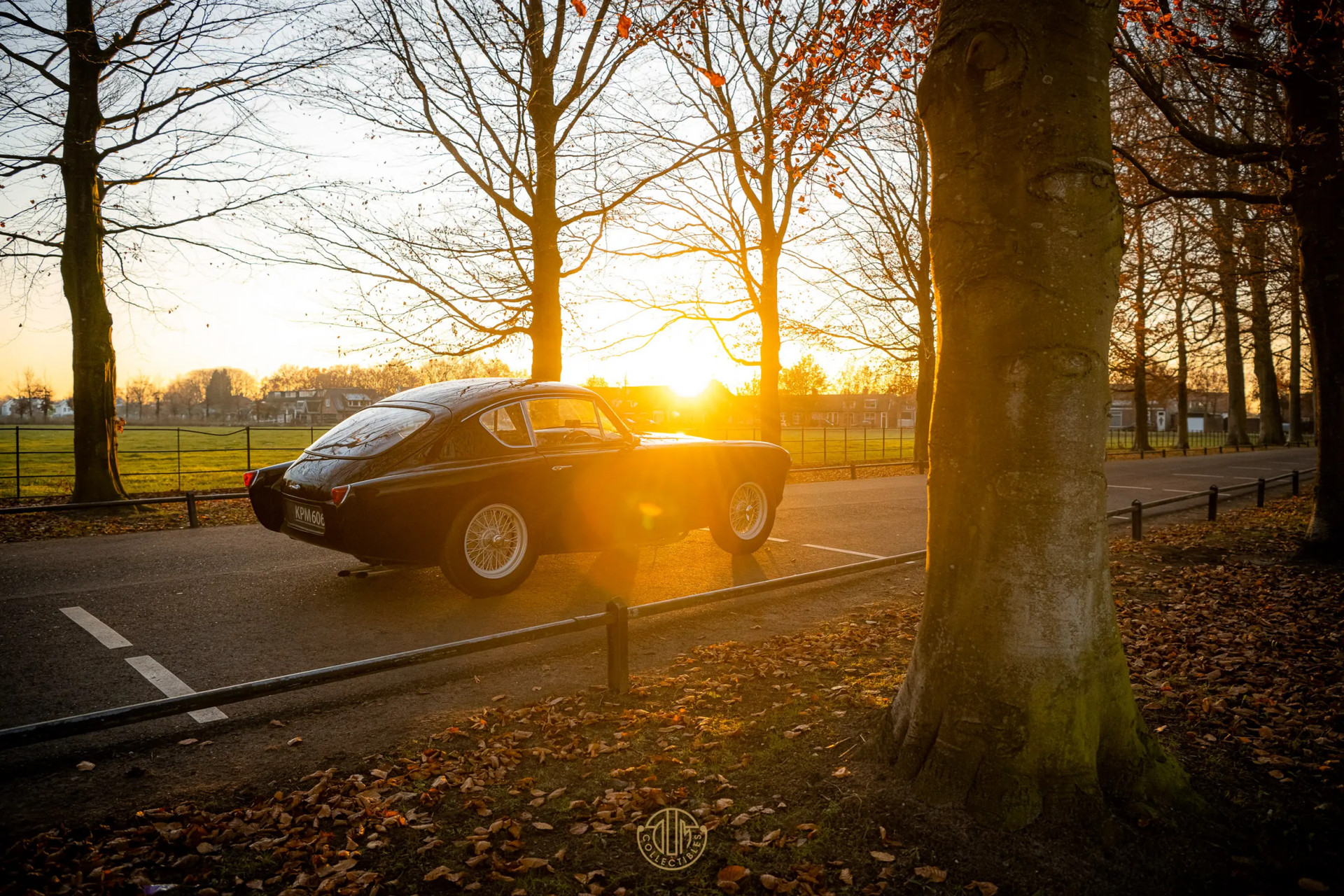 AC ACECA  1955 Black 81