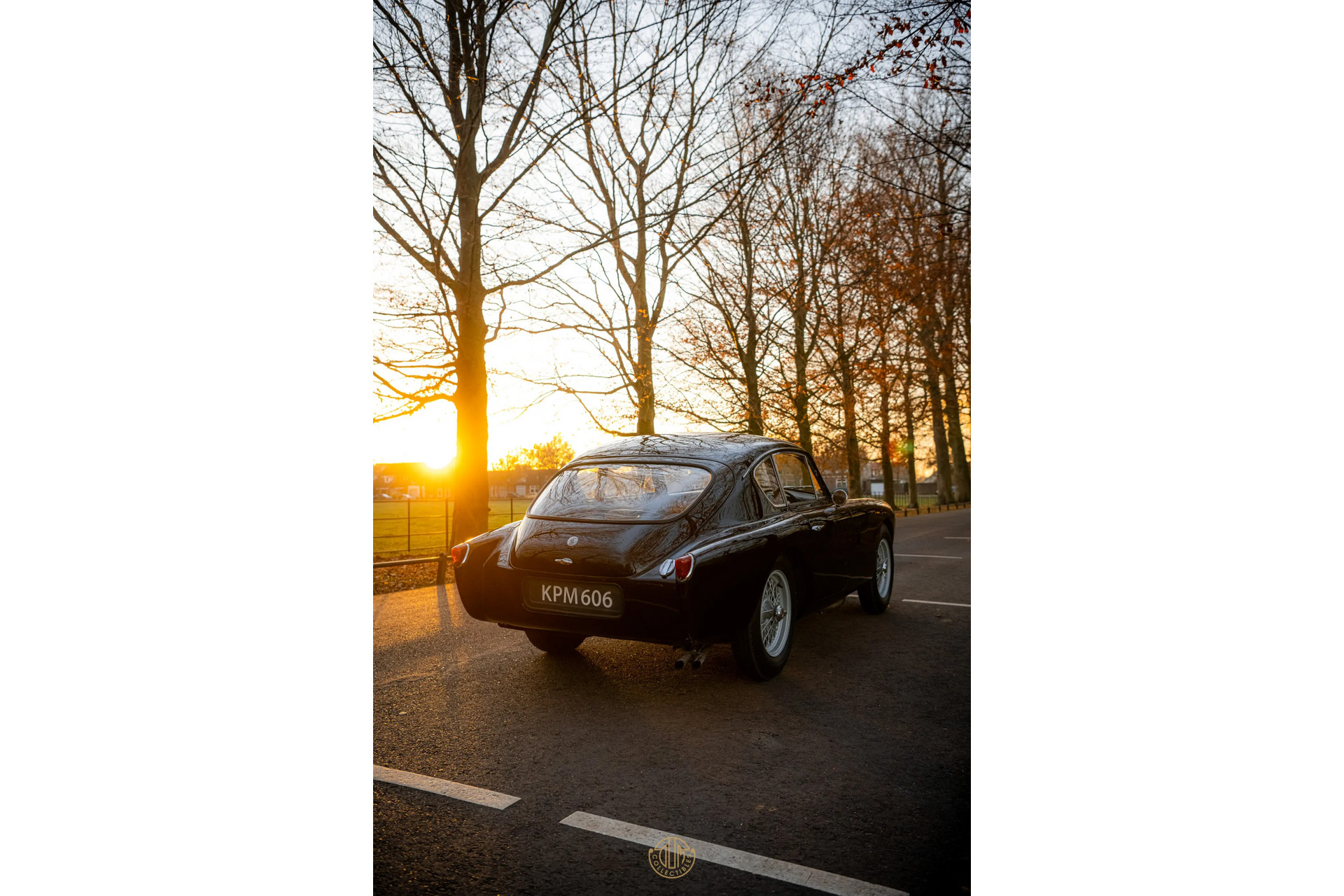 AC ACECA  1955 Black 84