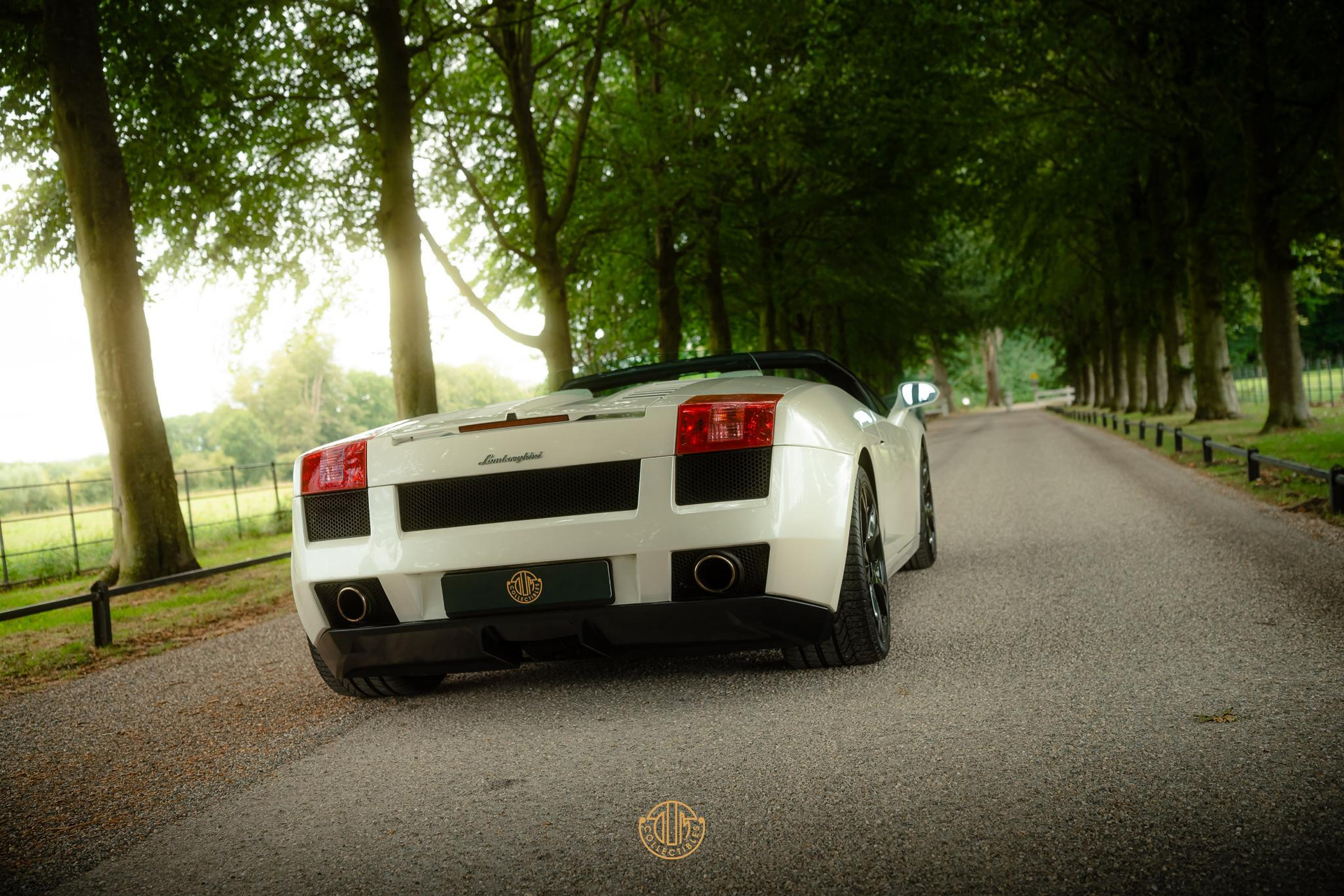 Lamborghini Gallardo 5.0 V10 Spyder 2008  10