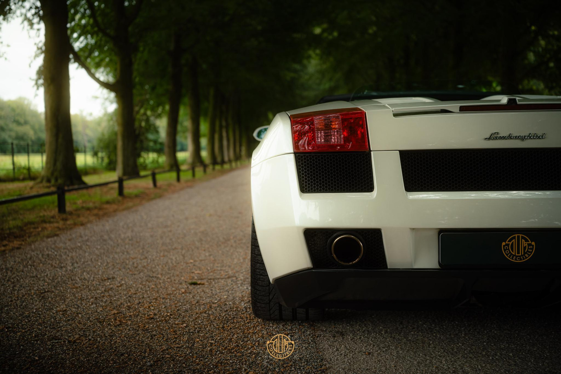 Lamborghini Gallardo 5.0 V10 Spyder 2008  19