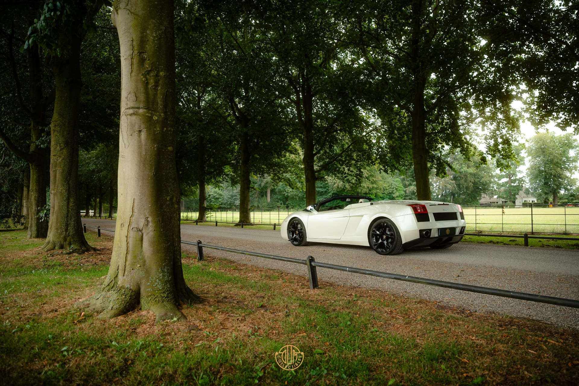 Lamborghini Gallardo 5.0 V10 Spyder 2008  21