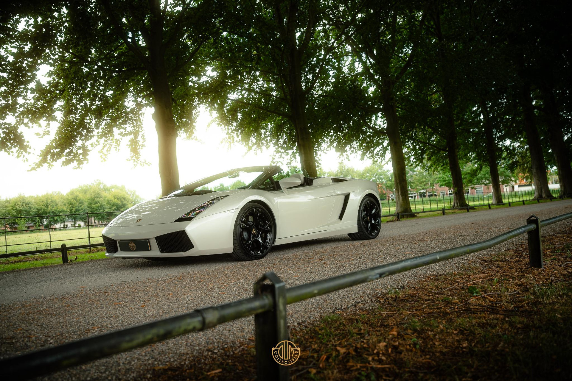 Lamborghini Gallardo 5.0 V10 Spyder 2008  45