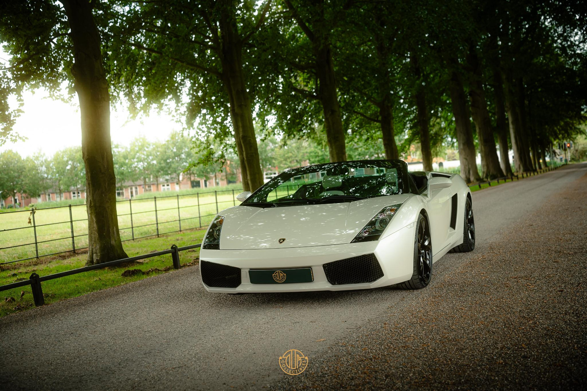 Lamborghini Gallardo 5.0 V10 Spyder 2008  47