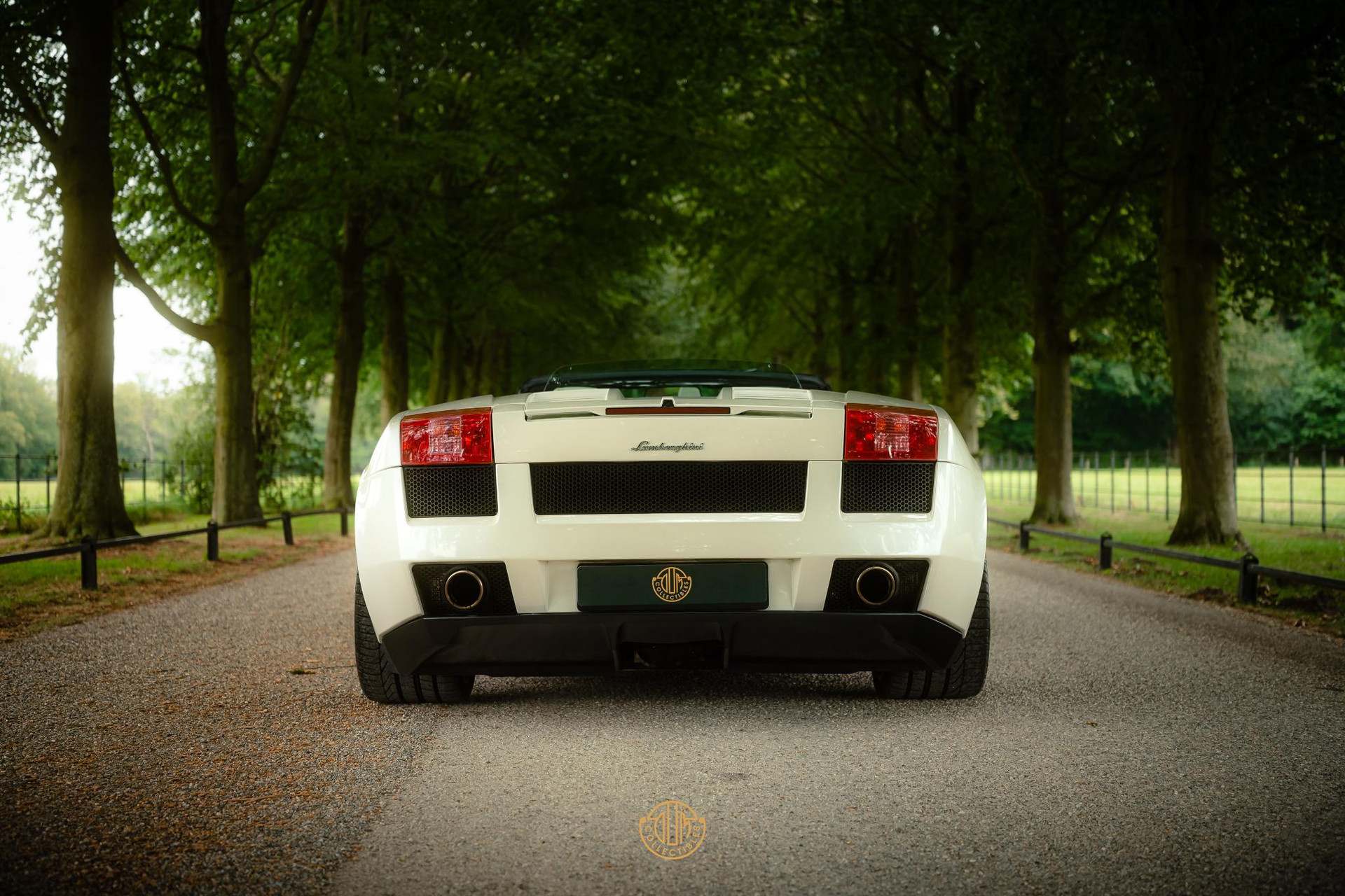 Lamborghini Gallardo 5.0 V10 Spyder 2008  8