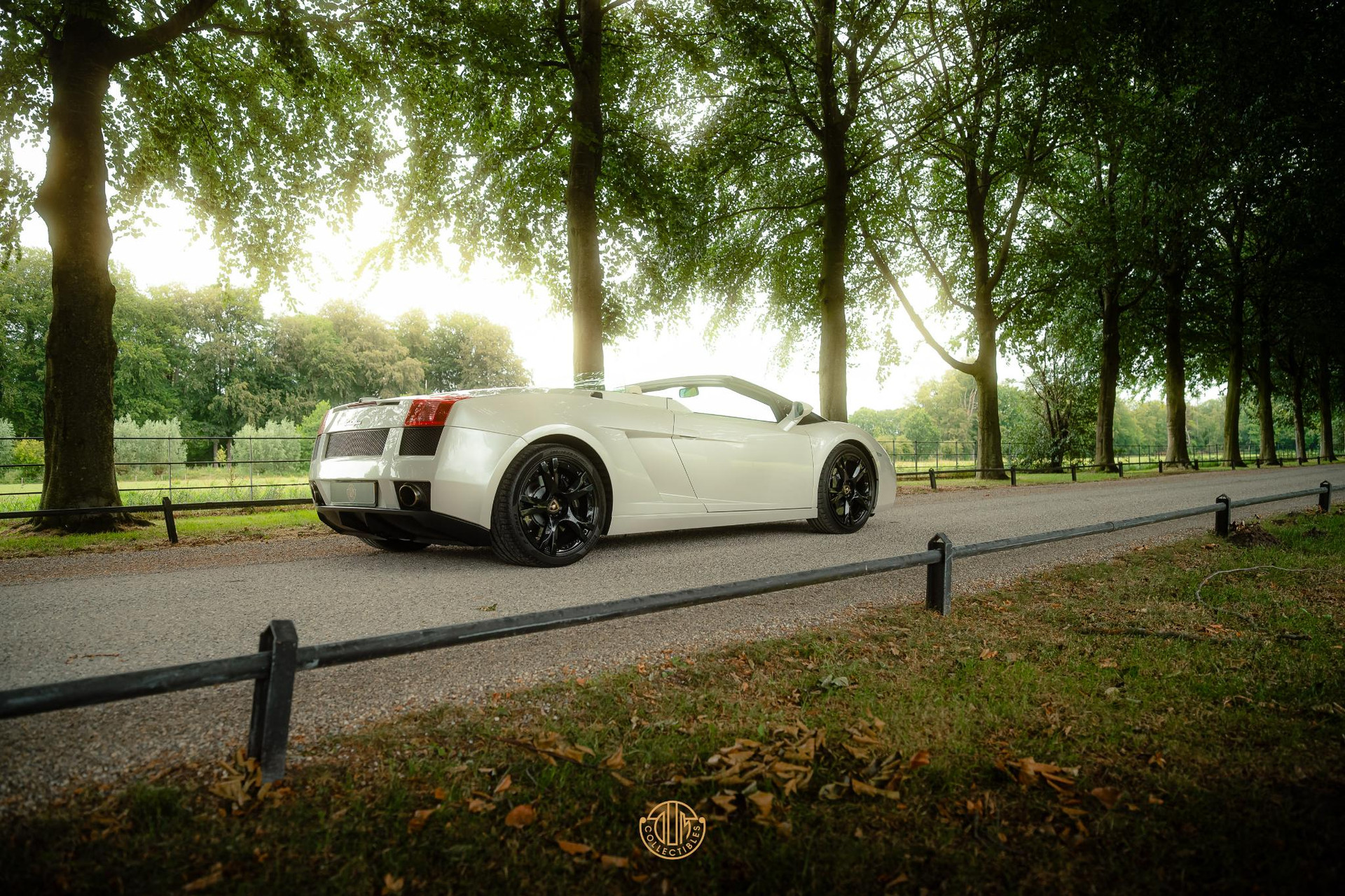 Lamborghini Gallardo 5.0 V10 Spyder 2008  9