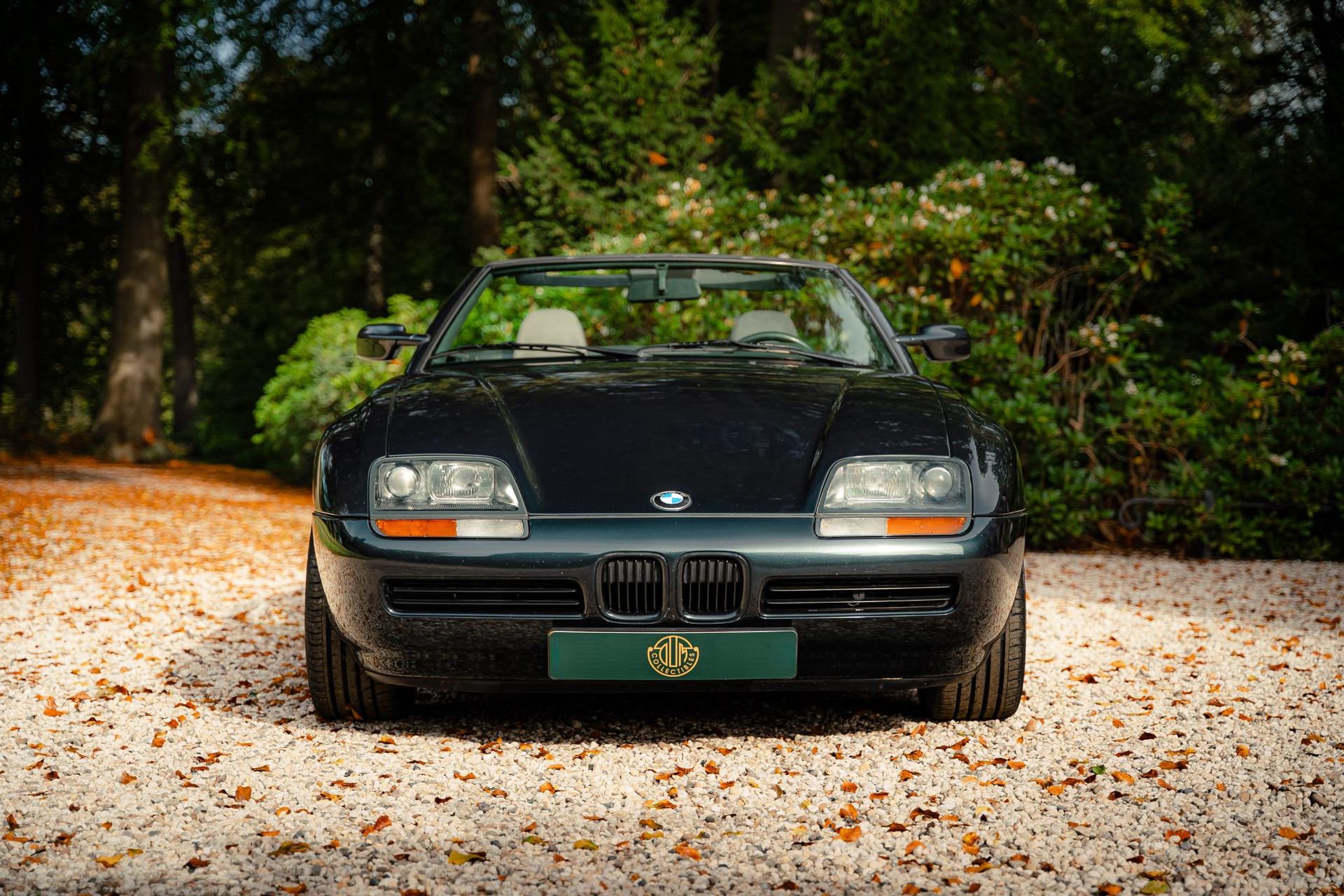 BMW Z1 Z1 1990 BMW Traumschwartz Metallic 3