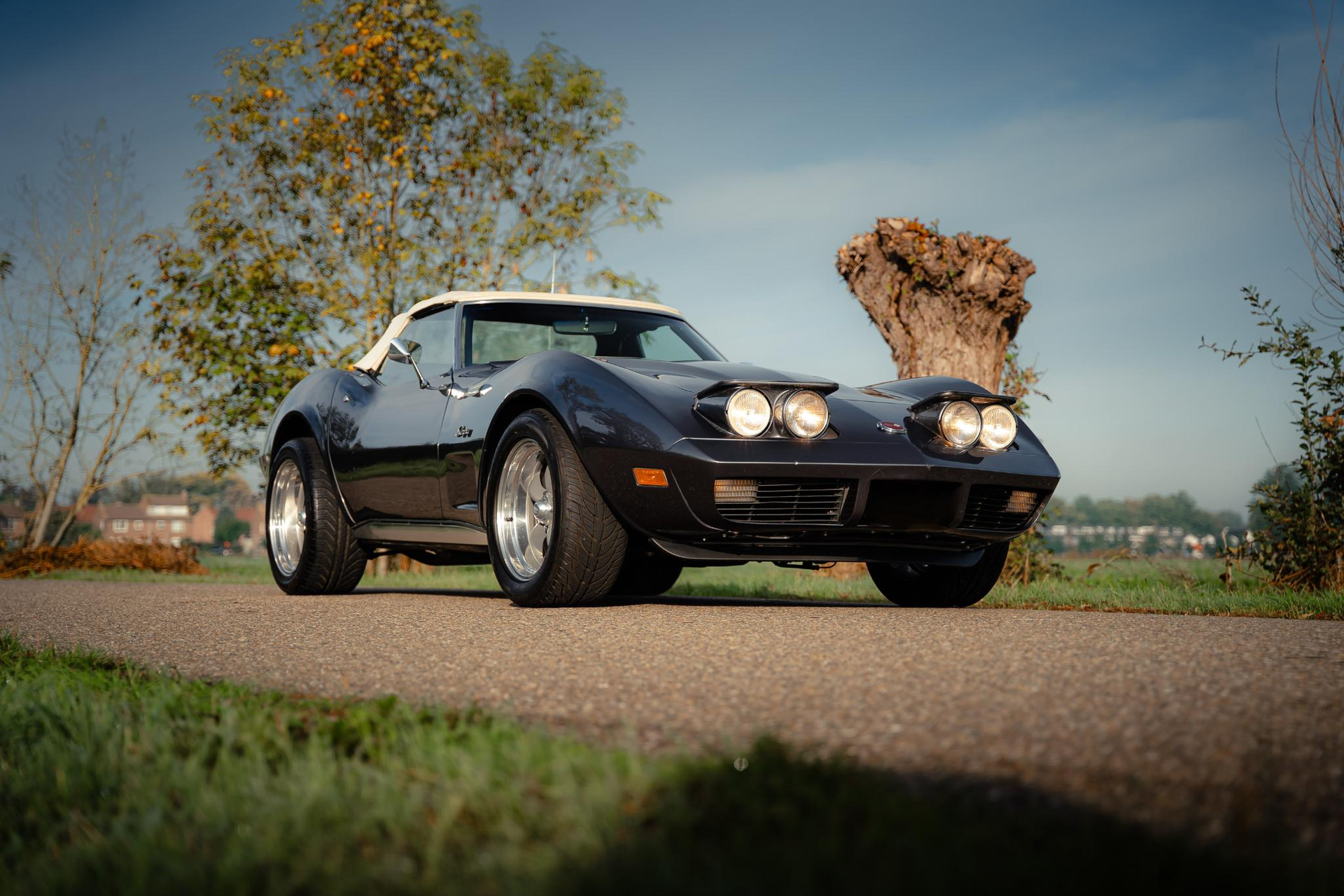 Chevrolet Corvette C3 L82 1974 Gunmetal Grey 2