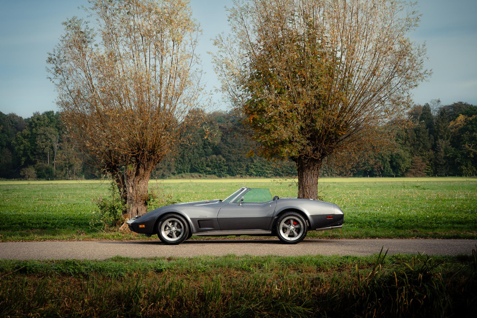 Chevrolet Corvette C3 L82 1974 Gunmetal Grey 8