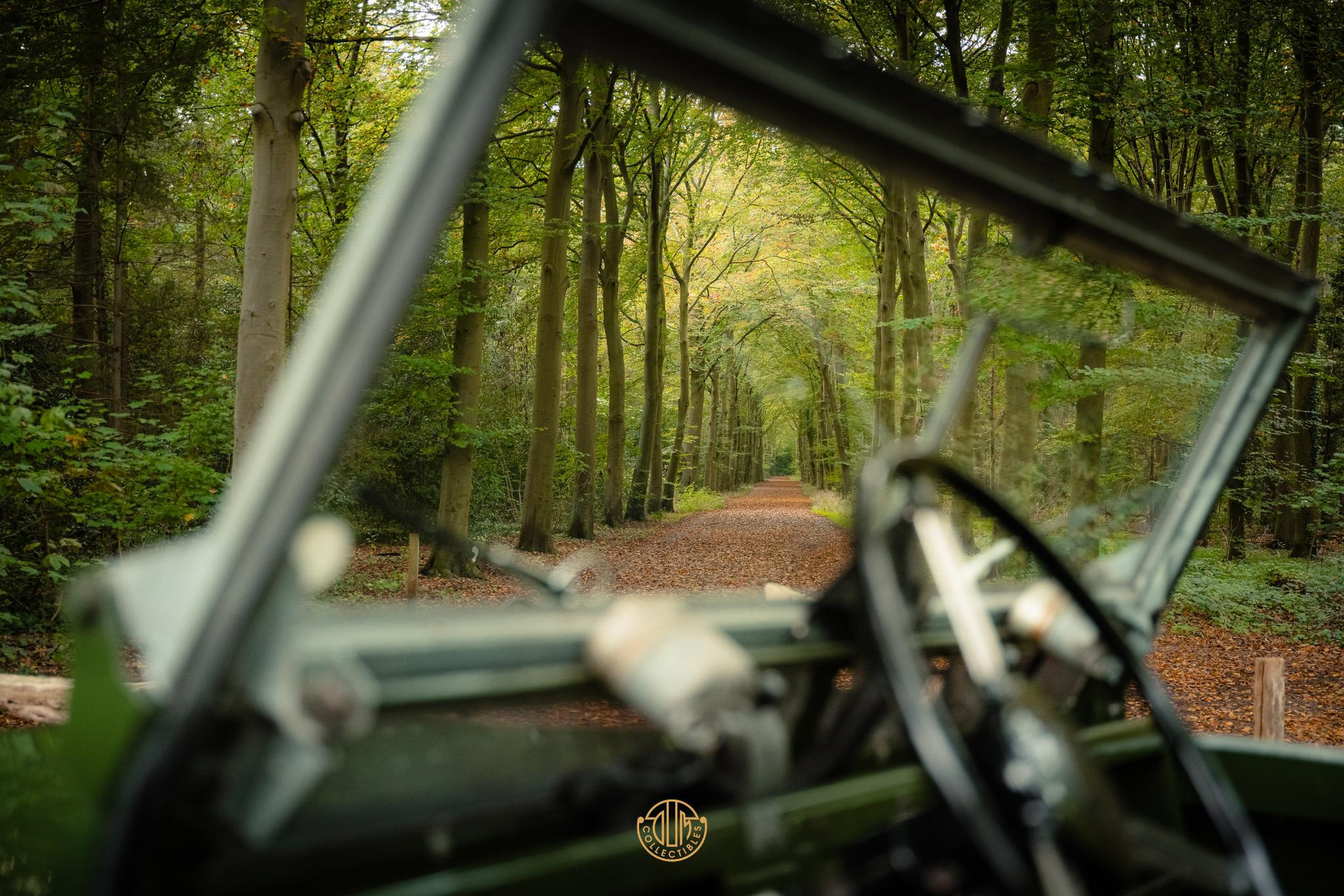 Land Rover  Series II 2.25 Petrol Fully Restored 1962 Deep Bronze Green 27